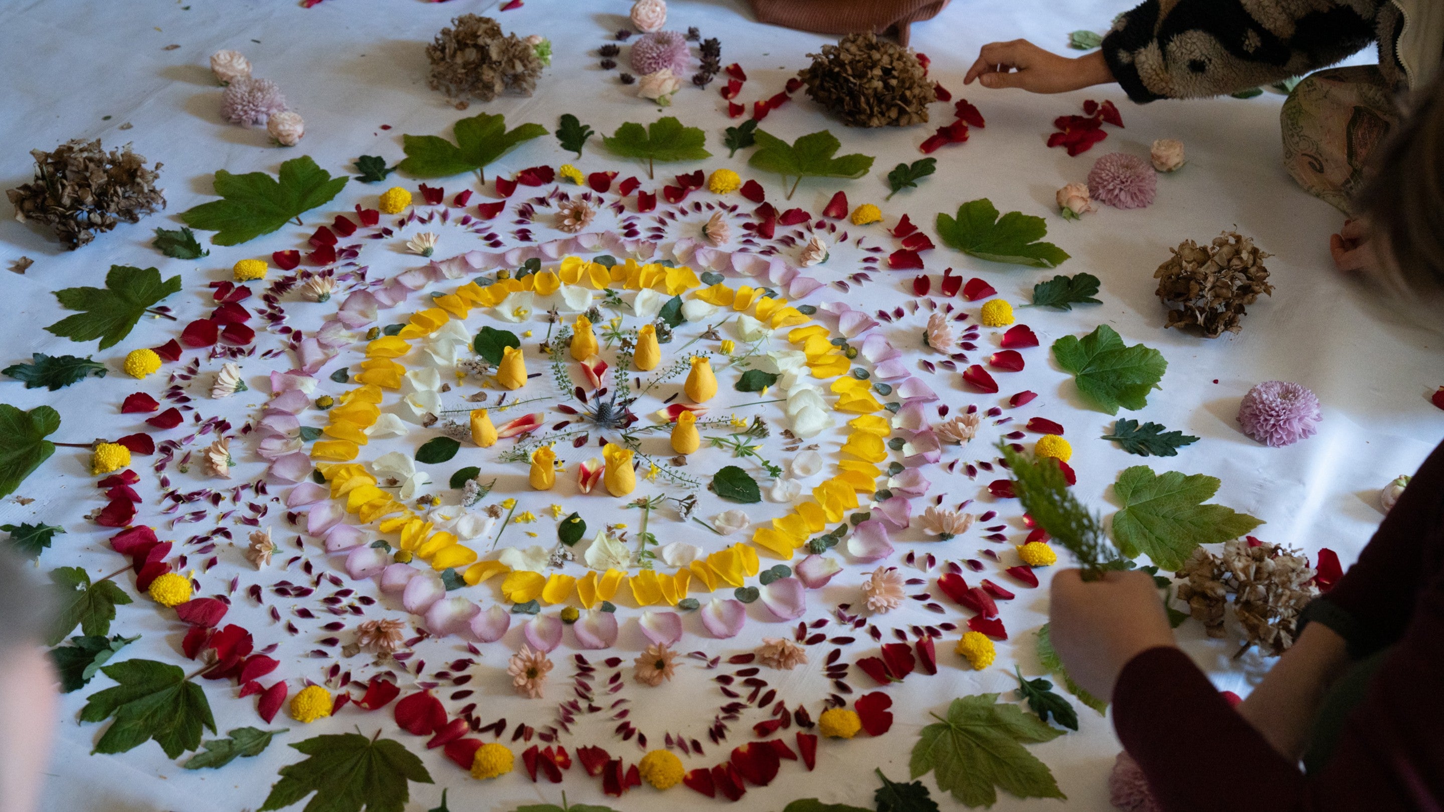 A mandala created using flower petals on a white floor.