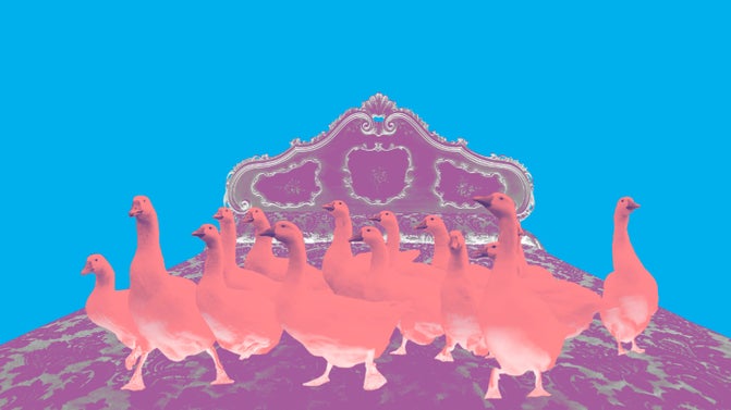 An image of a gaggle of geese sitting on the top of a bed. The geese are coloured pink and the bed headboard is purple, with a bright blue background