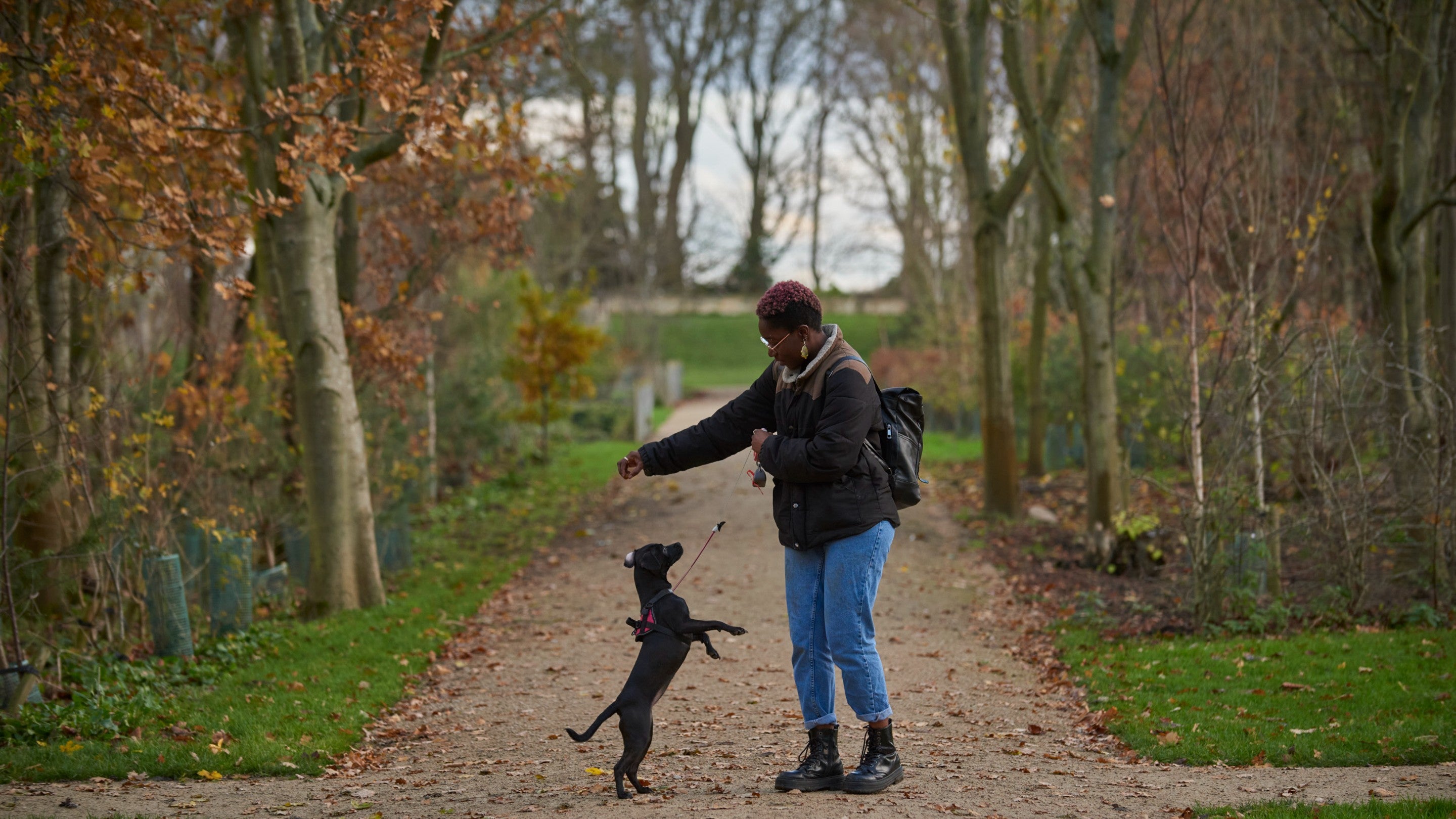 A visitor playing with their dog in the South East Gardens in winter at Seaton Delaval Hall Northumberland