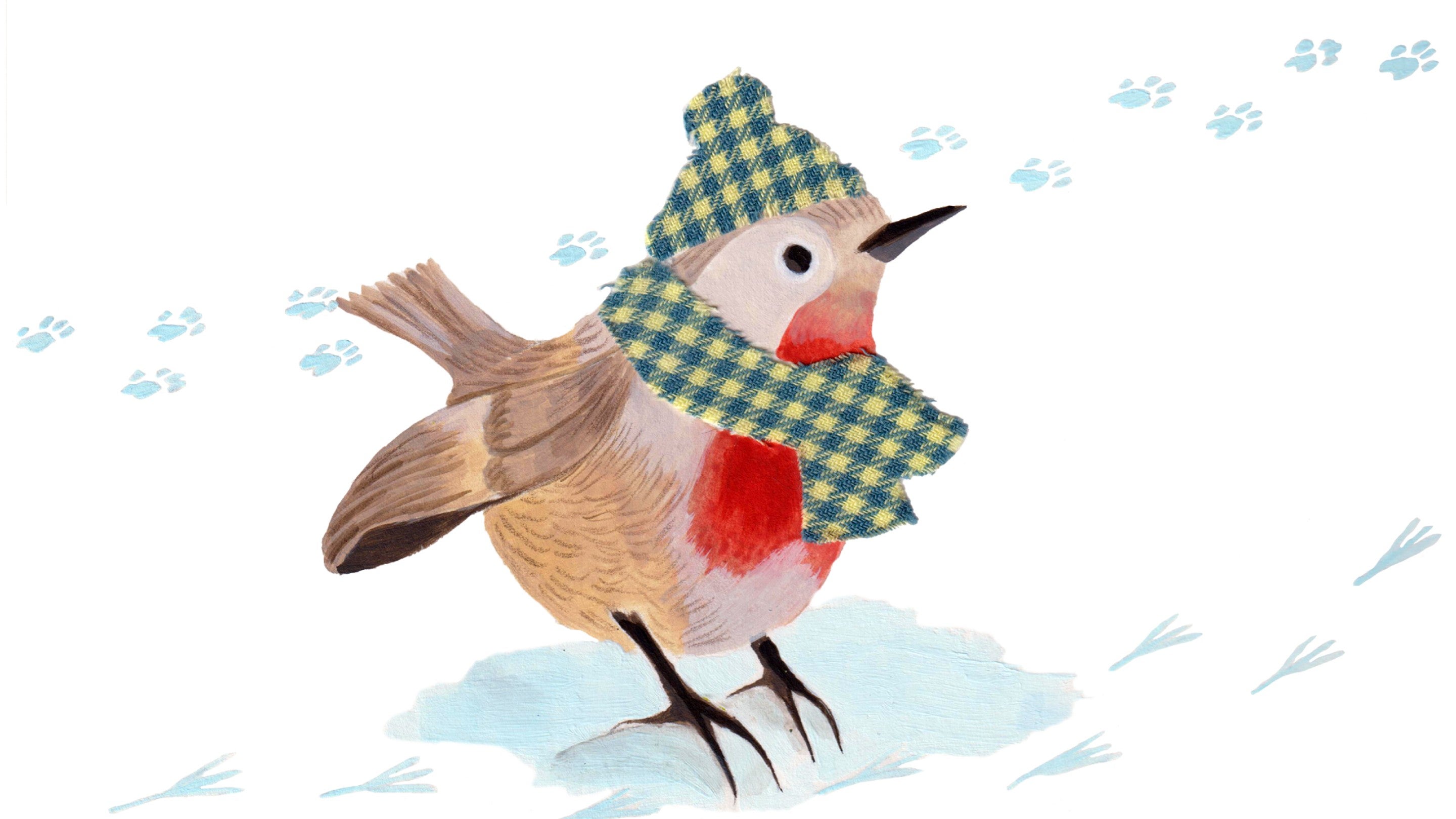 An illustrated robin in snow wearing a chequed winter hat and scarf