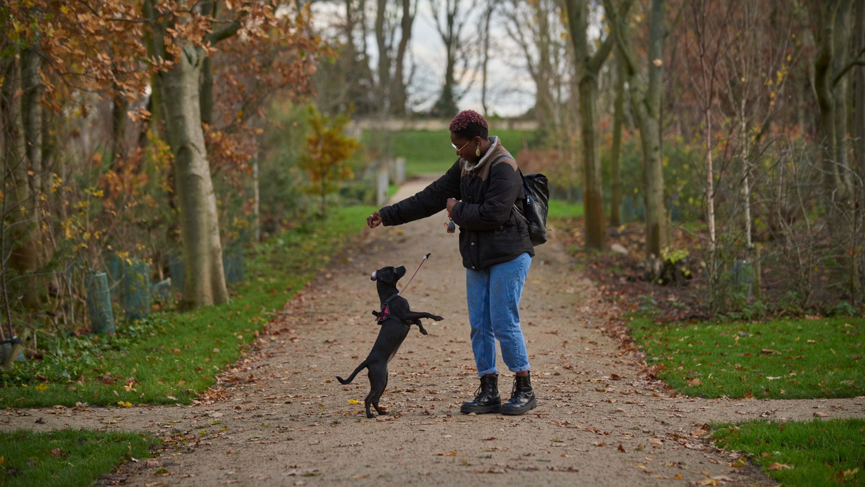 A woman plays with a dog at Seaton Delaval Hall, Northumberland