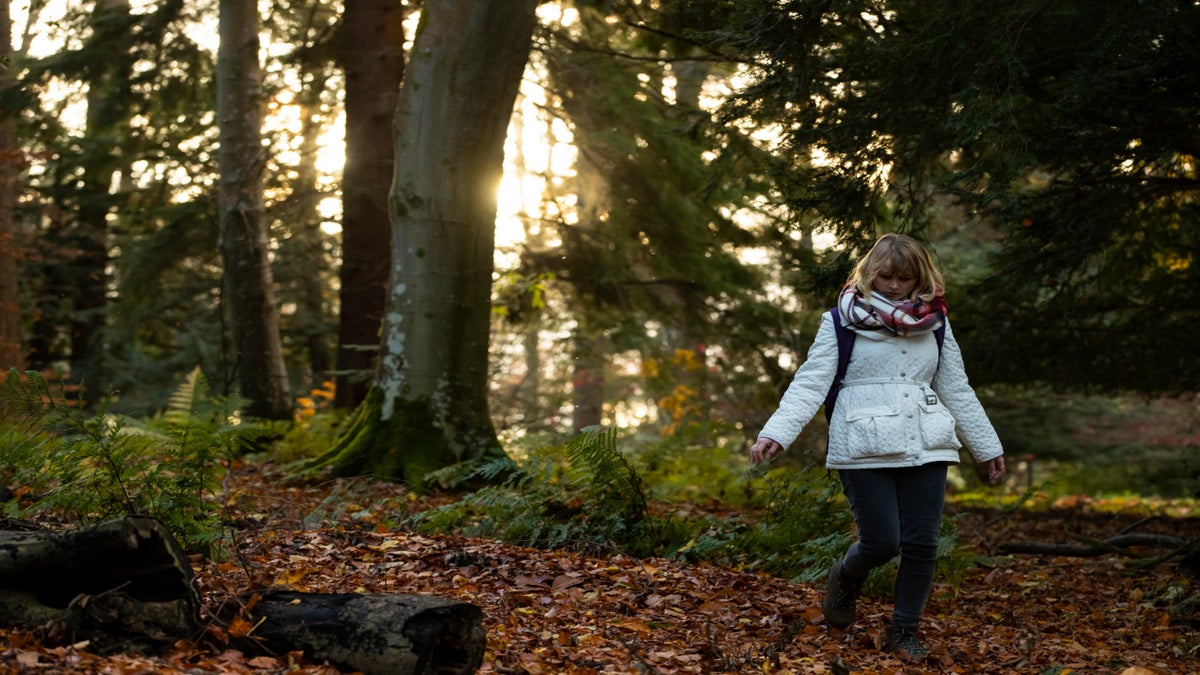 Visiting Wallington what you need to know National Trust