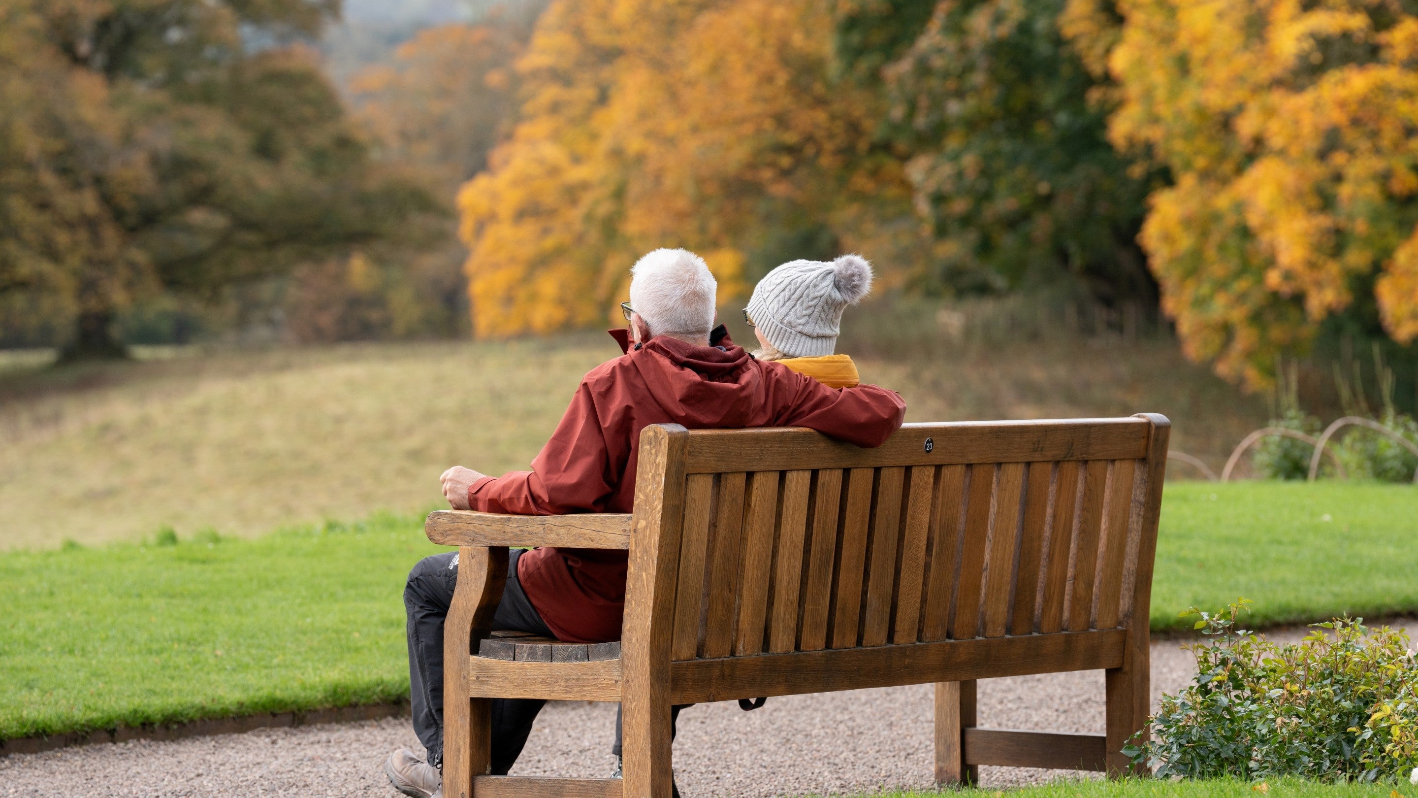 View from behind of two visitors sat on a bench looking at yellow autumn trees.
