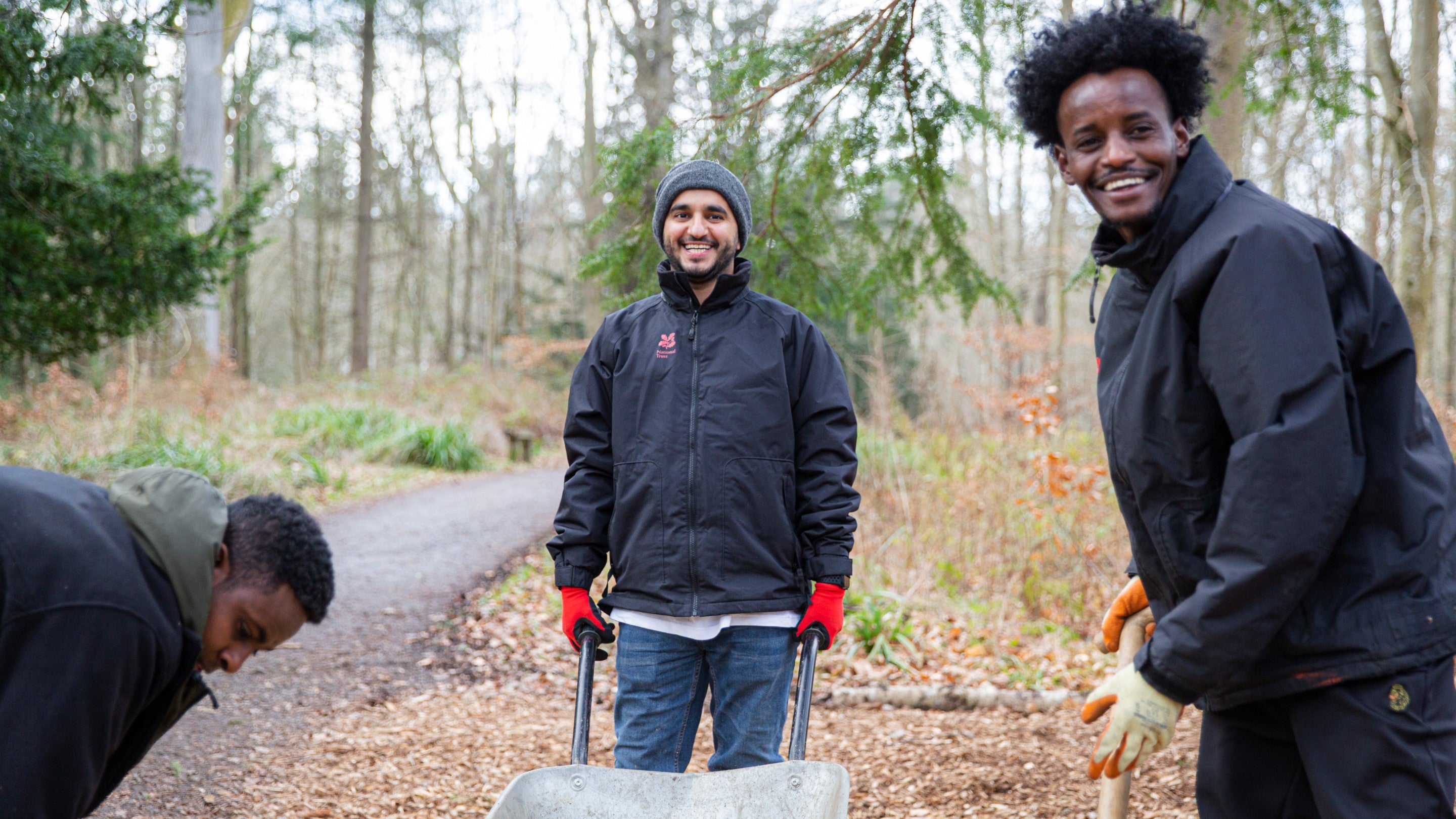 Three volunteers raking leaves into a wheelbarrow in a woodland
