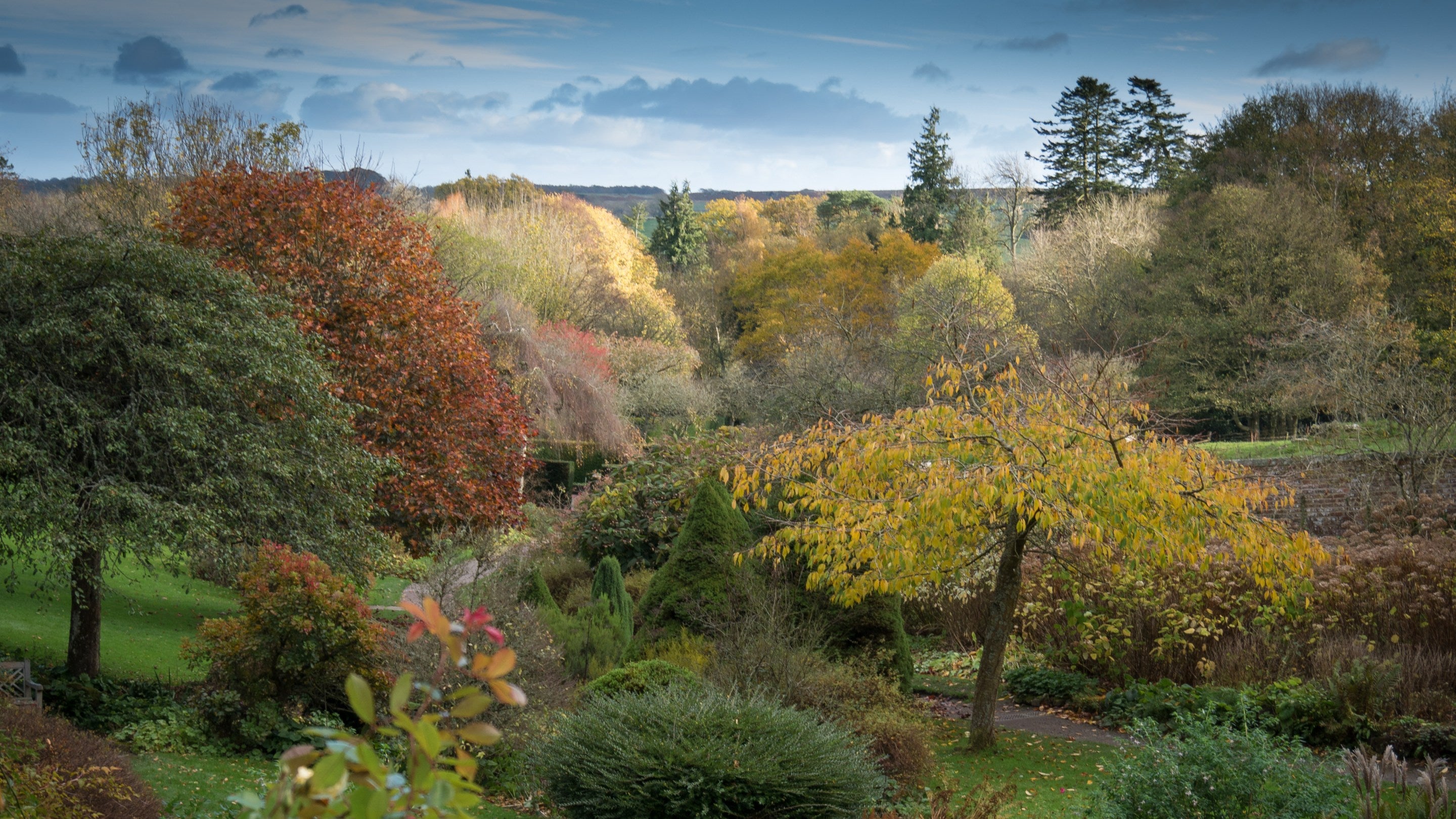 Autumn colour in the Walled Garden at Wallington, Northumberland