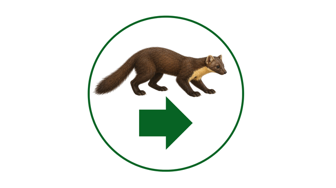 The Pine Marten Discovery Trail way circular marker features an illustration of a pine marten with a green arrow underneath showing what direction people need to follow. The marker background is white and has a green border