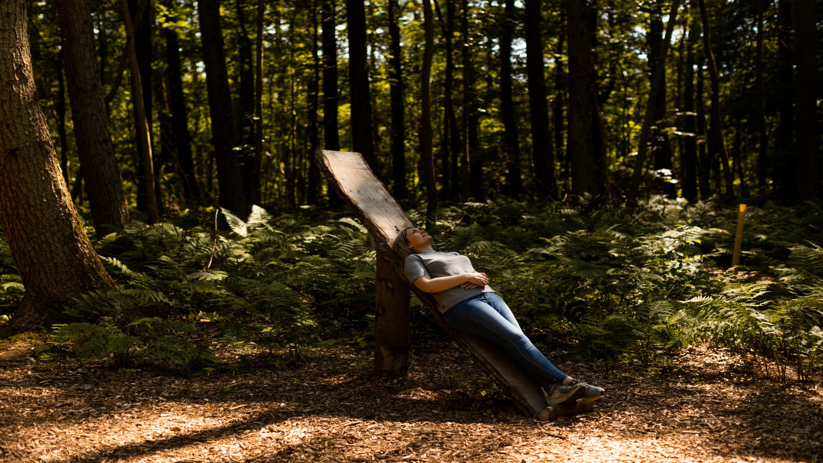 A woman lying upon a slanted piece of wood in the summer surrounded by  woodland and trees taking part in forest bathing at Wallington, Northumberland,