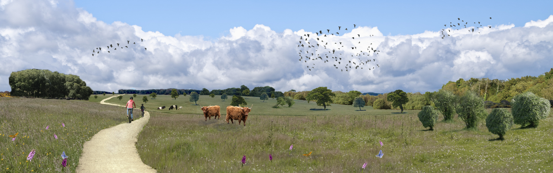 Elf Hills visualisation of new woodland and woodland pasture