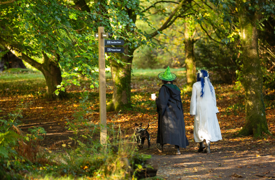Visitors walking their dogs in Halloween costumes at Rowallane Gardens, County Down