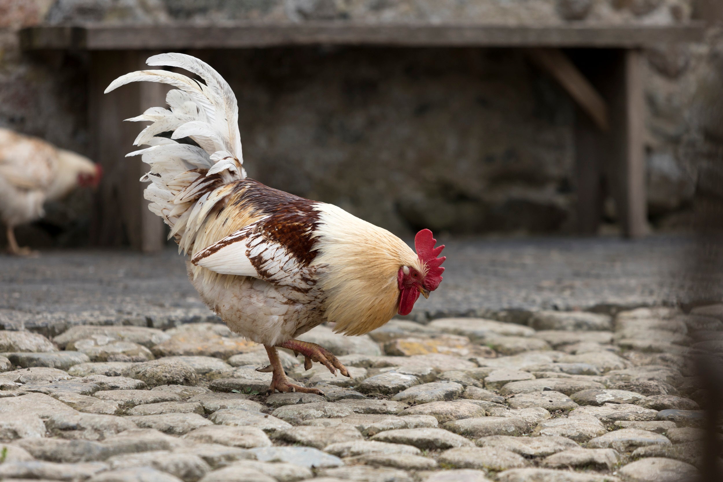 C:\Users\beth.mcclenahan1\AppData\Local\Temp\Temp1_portfolio (43).zip\1410778.jpg