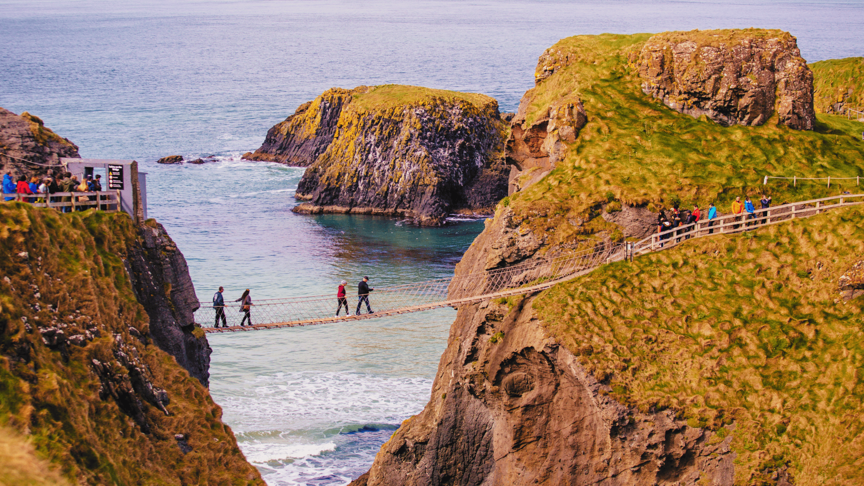 2 couples crossing Carrick-a-Rede Rope Bridge, with the crystal blue sea in the foreground. A small queue of visitors waiting to cross onto the island, and visitors queuing to get back other to the mainland.