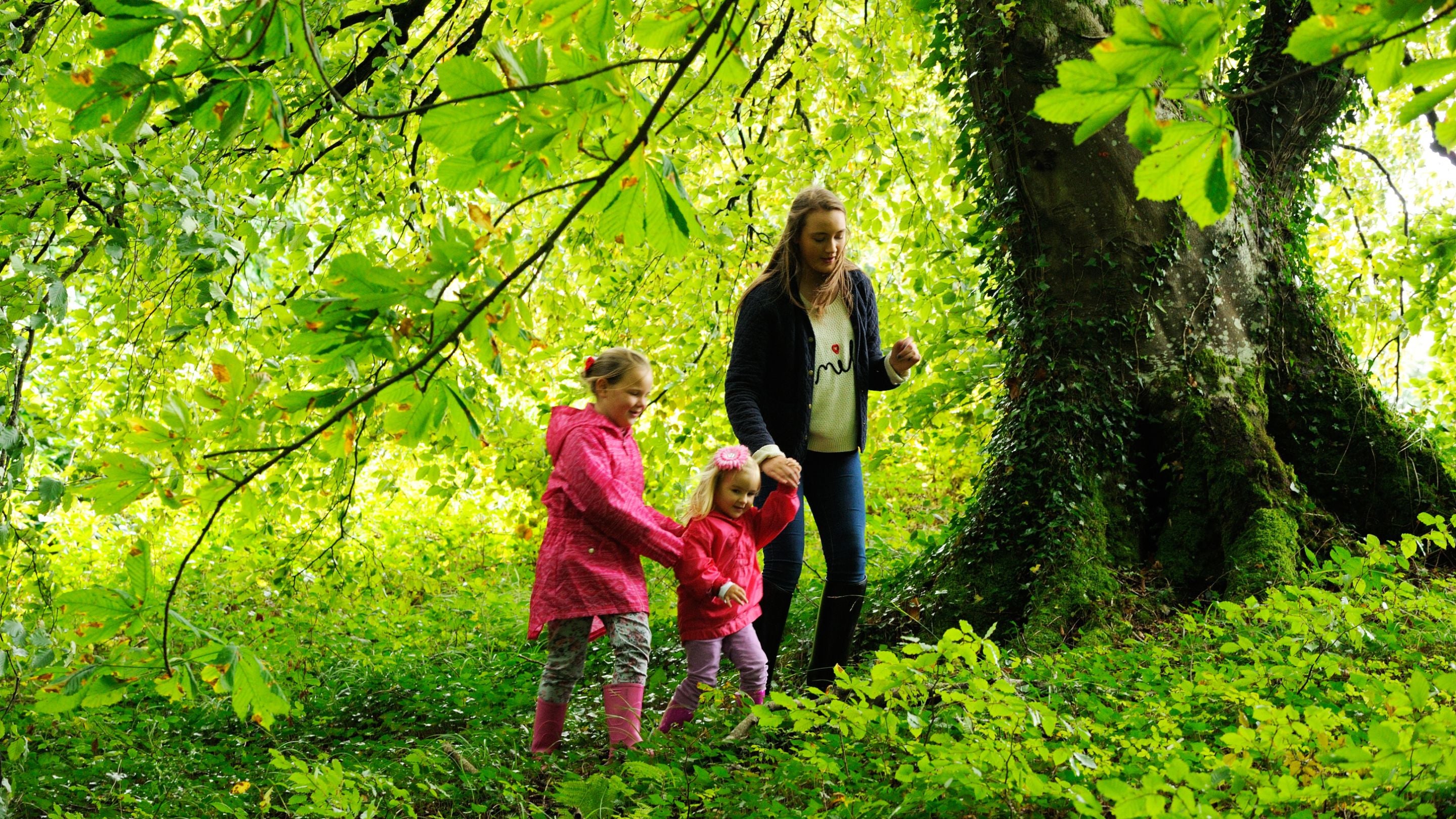 Visitors exploring the woodland at Castle Coole, County Fermanagh