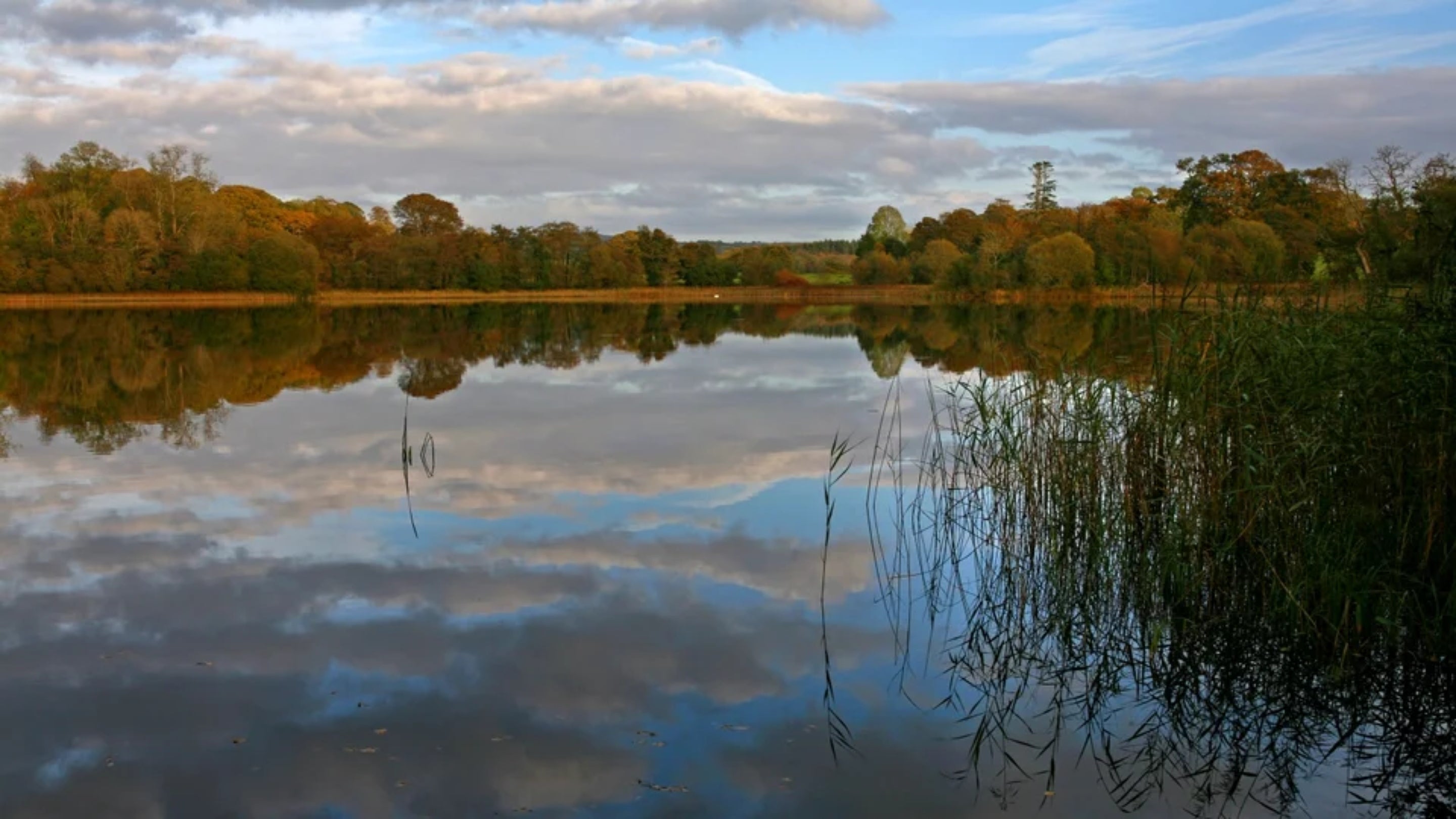 Castle Coole │ Northern Ireland | National Trust