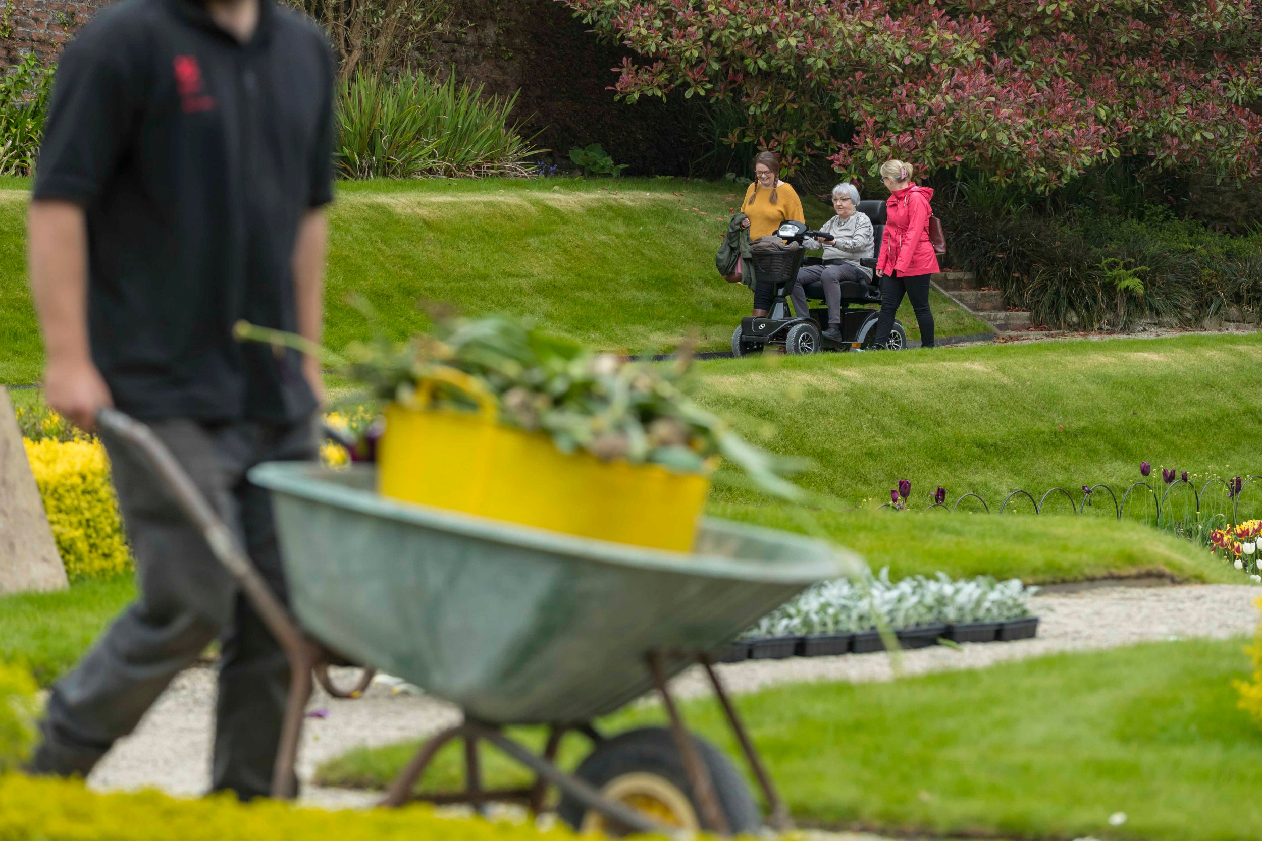 Gardener Pushing Wheelbarrow in sunken garden, with visitors in background.