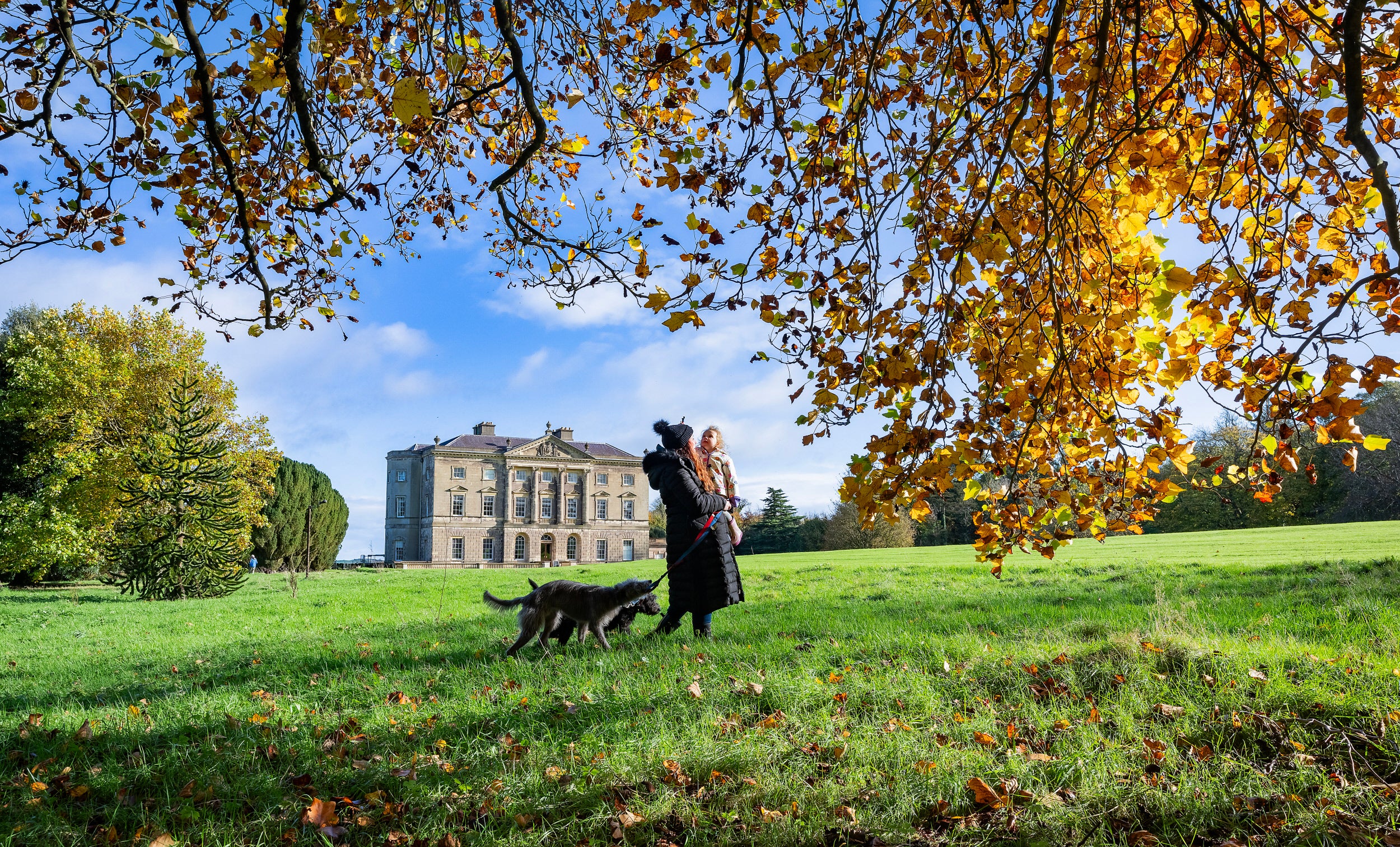 Family Walking Dog in-front of house