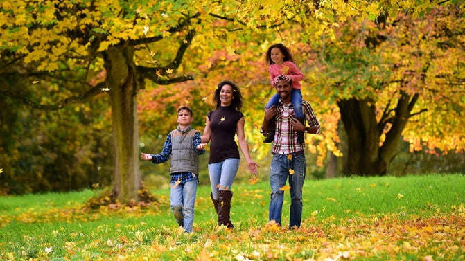 Family walking in the woodland at Castle Ward, County Down