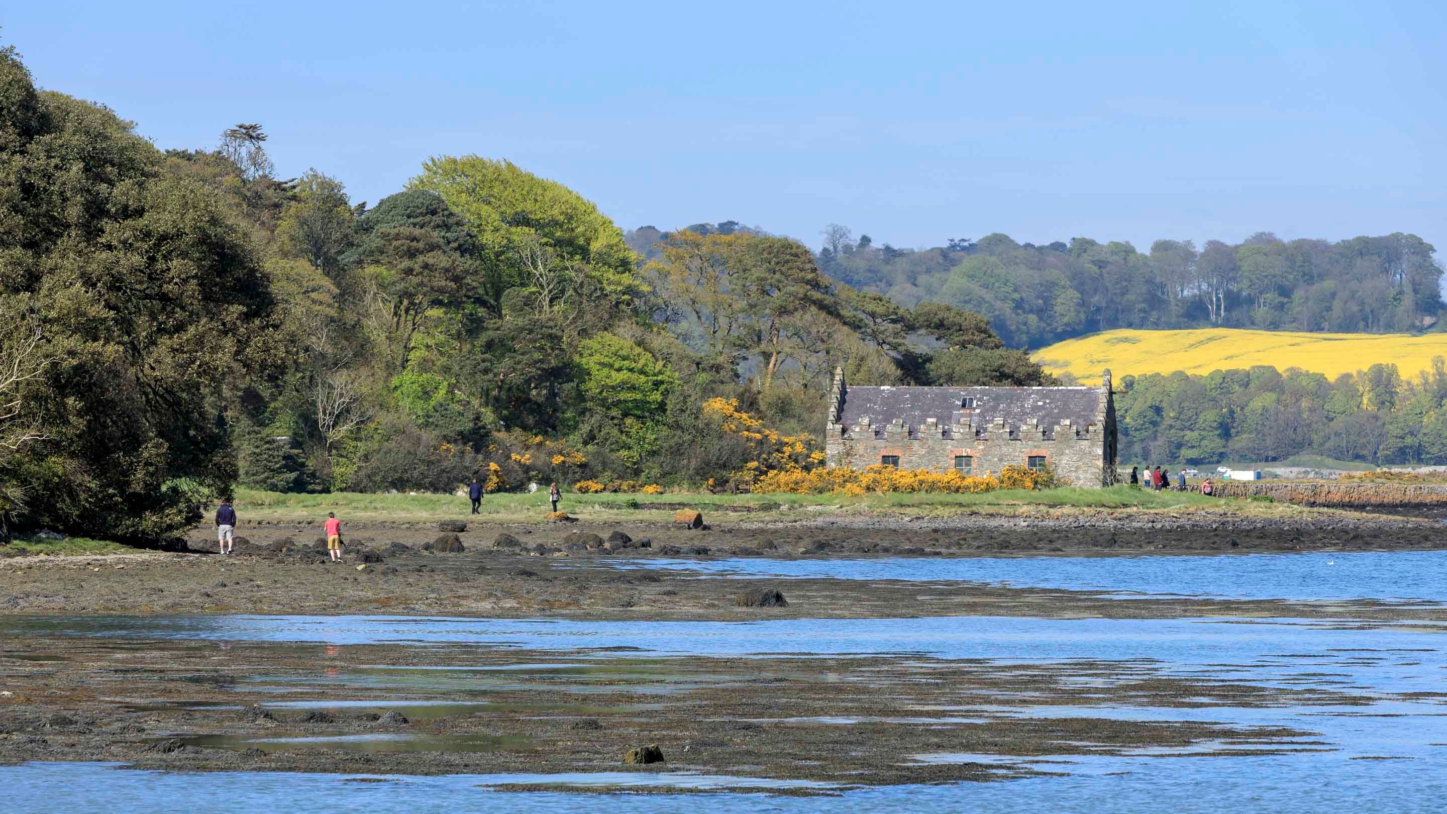 A view across the shallow shoreline of Strangford Lough at Castle Ward, County Down, towards a stone boathouse, with trees and a yellow crop field in the background. Some people are walking along the banks of the lough.