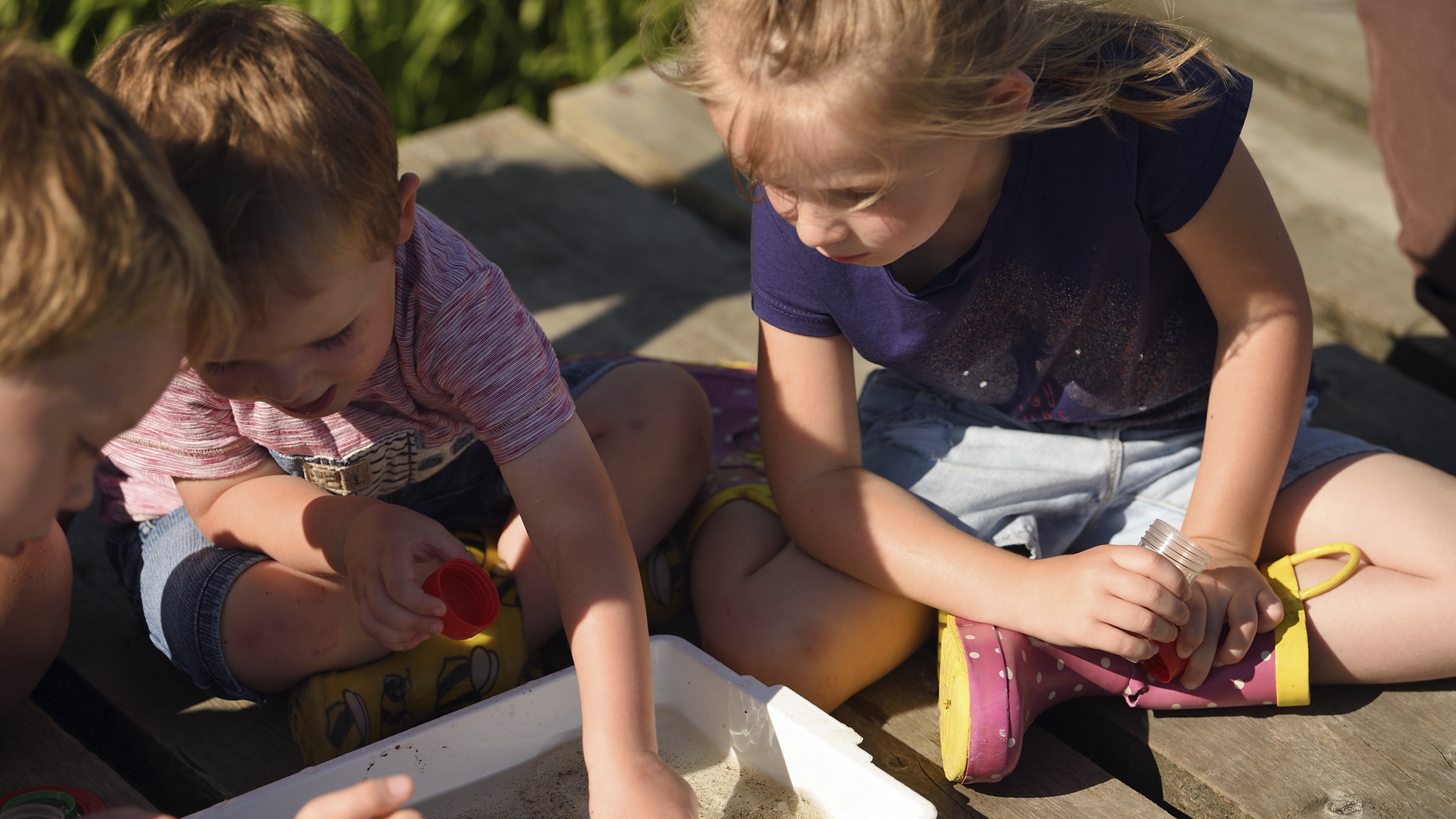 Children pond dipping at Crom, County Fermanagh, Northern Ireland.
