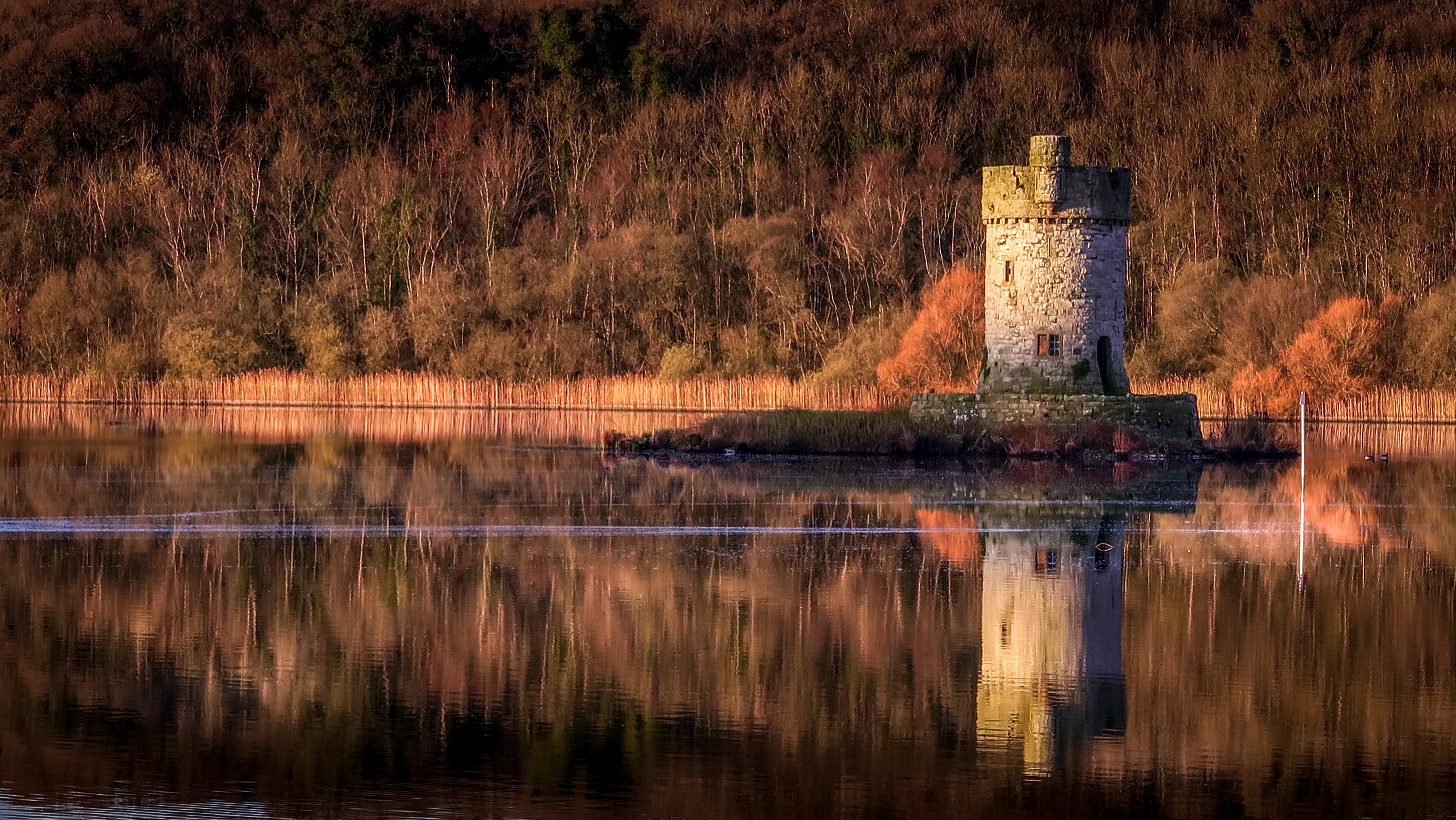 Crichton Tower Autumn