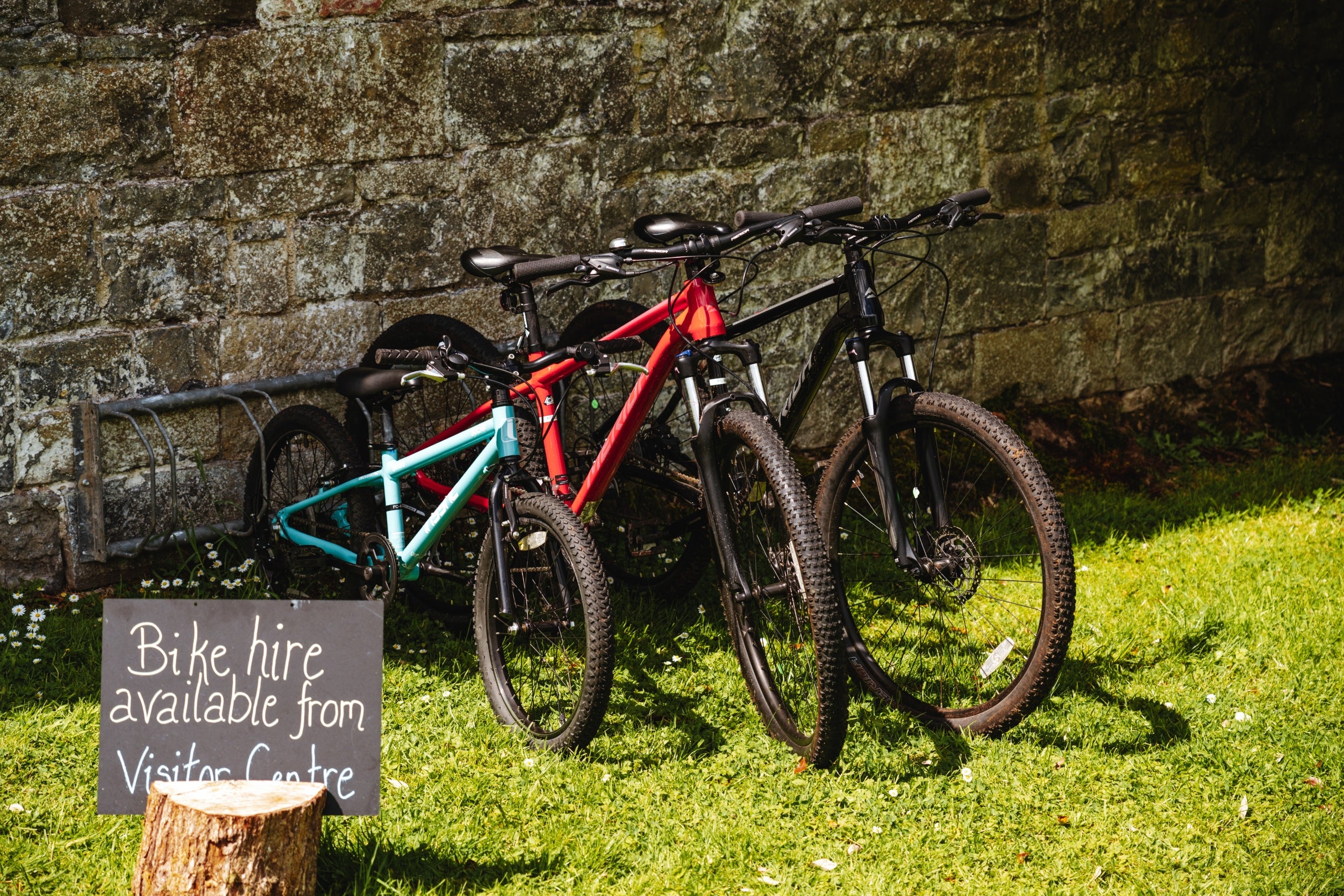 Bikes stand against a stone wall on a sunny day