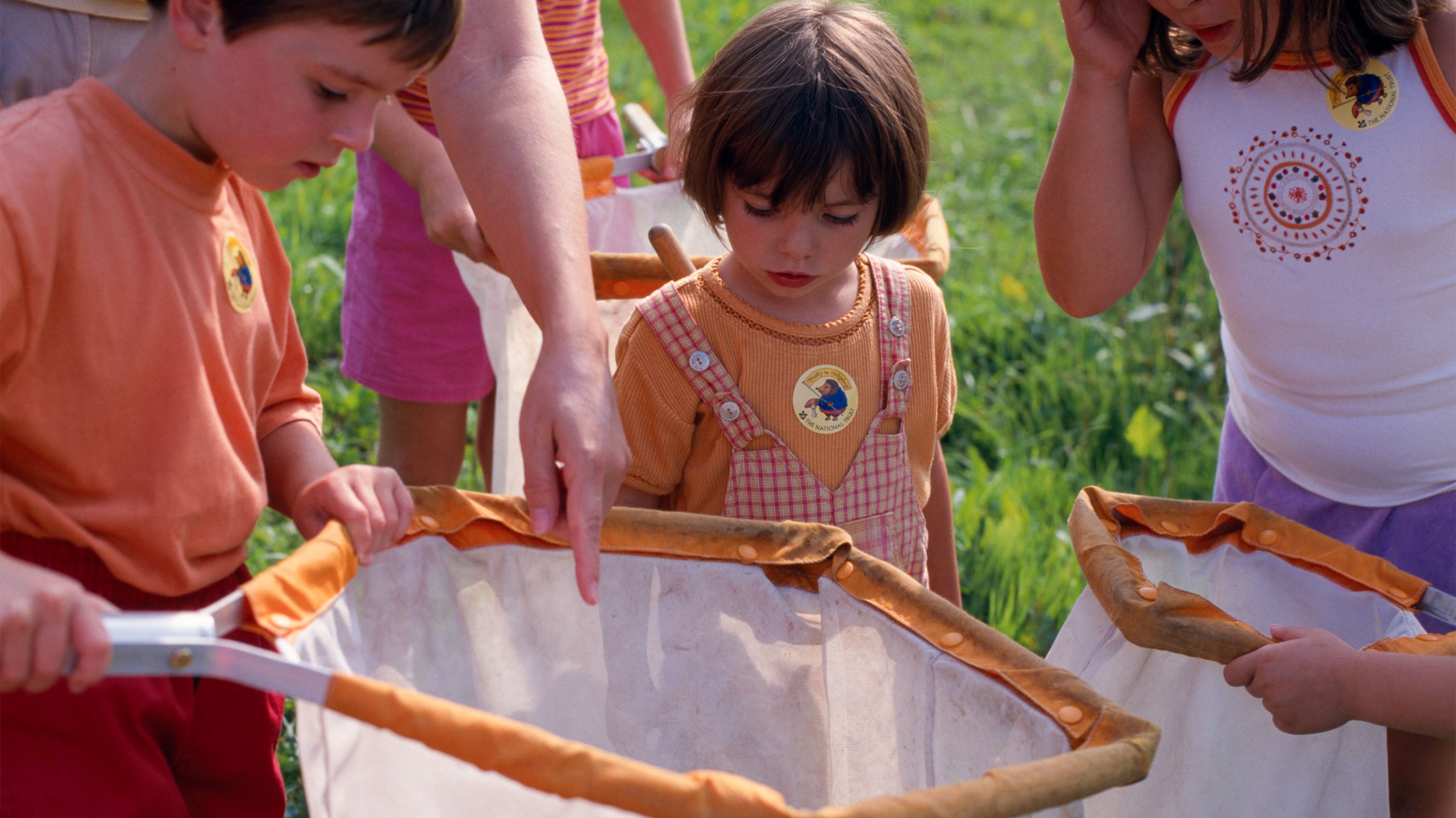 Close-up of children peering curiously into a large butterfly net, inspecting their catch