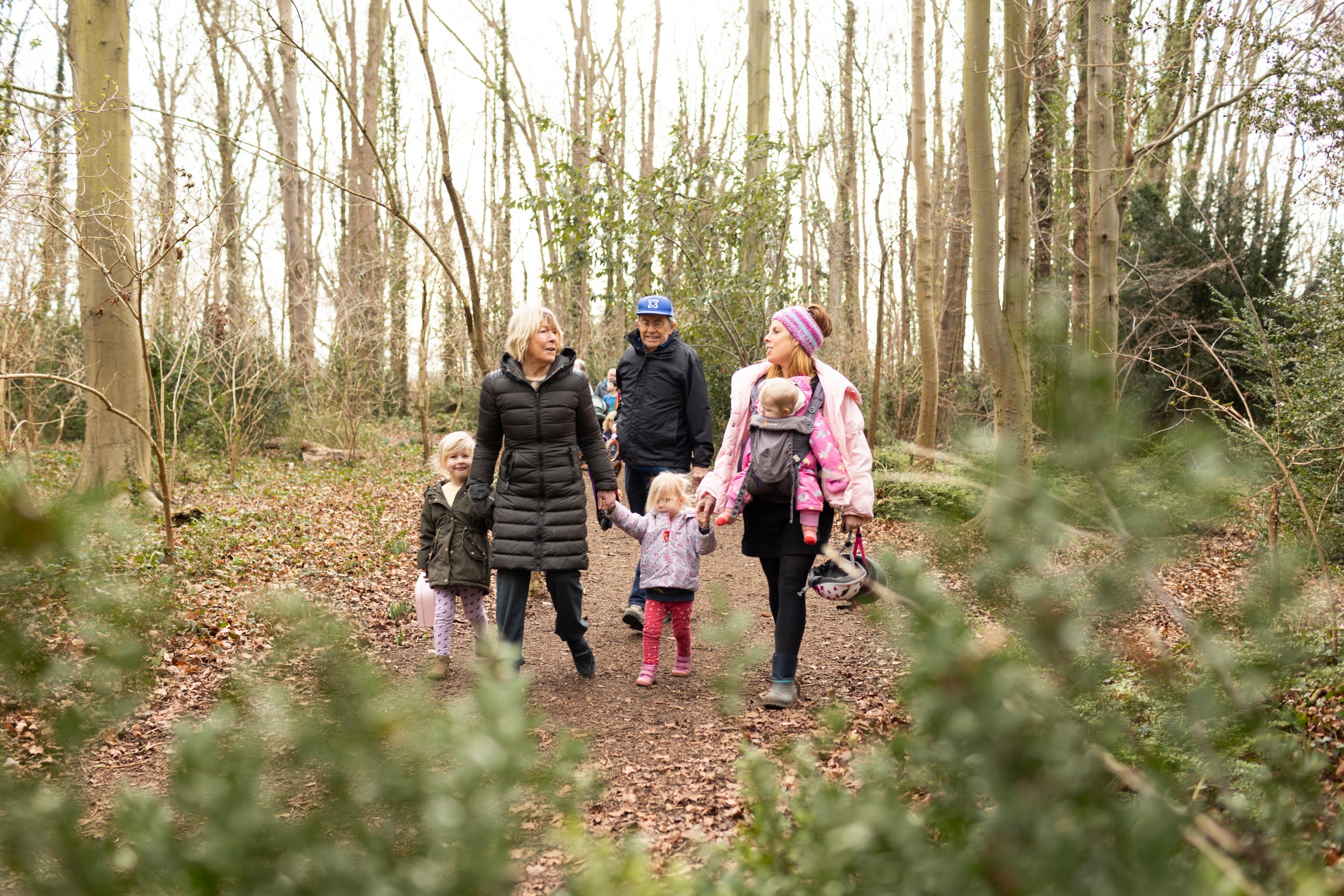 Family Enjoying Woodland Walk in Winter