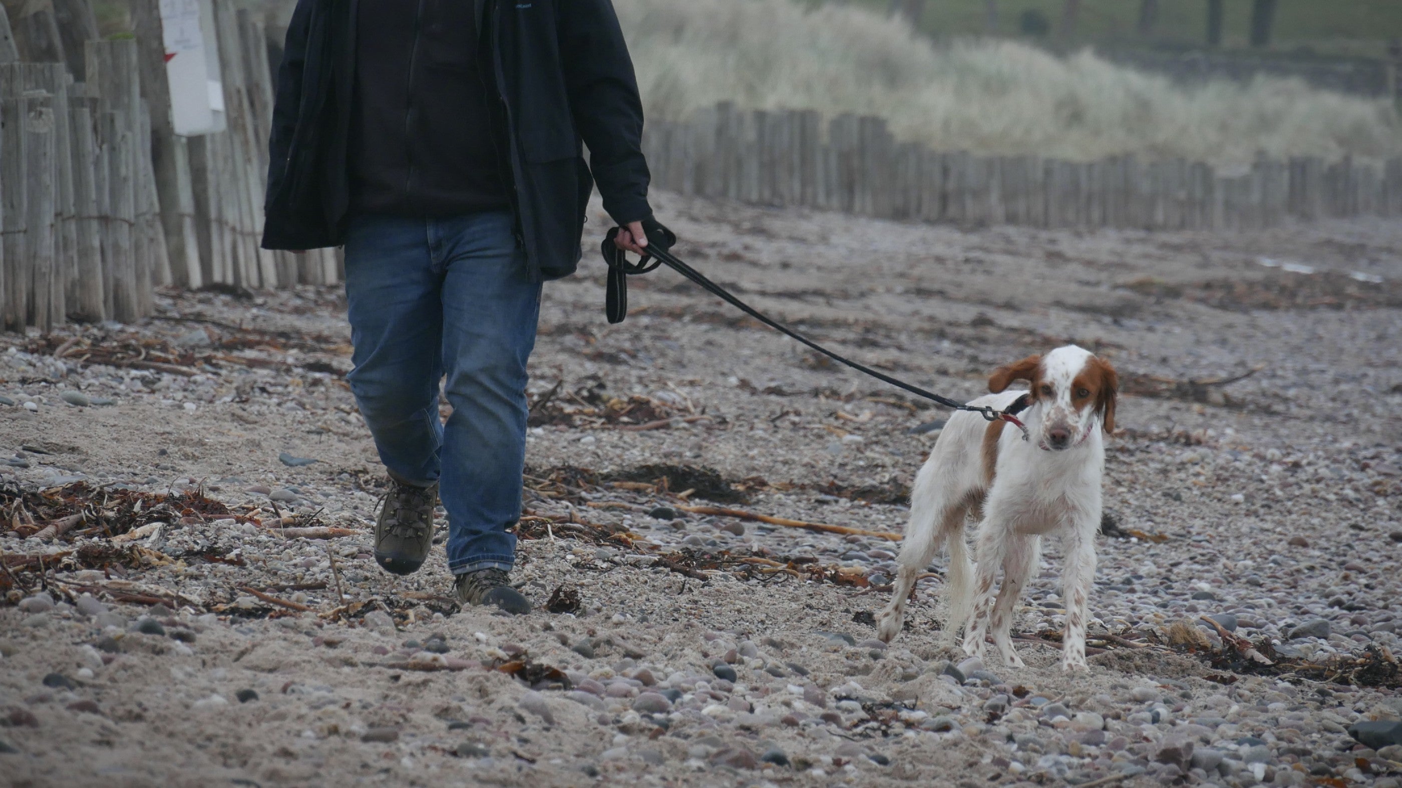 Visitor walking their dog on Cushendun beach