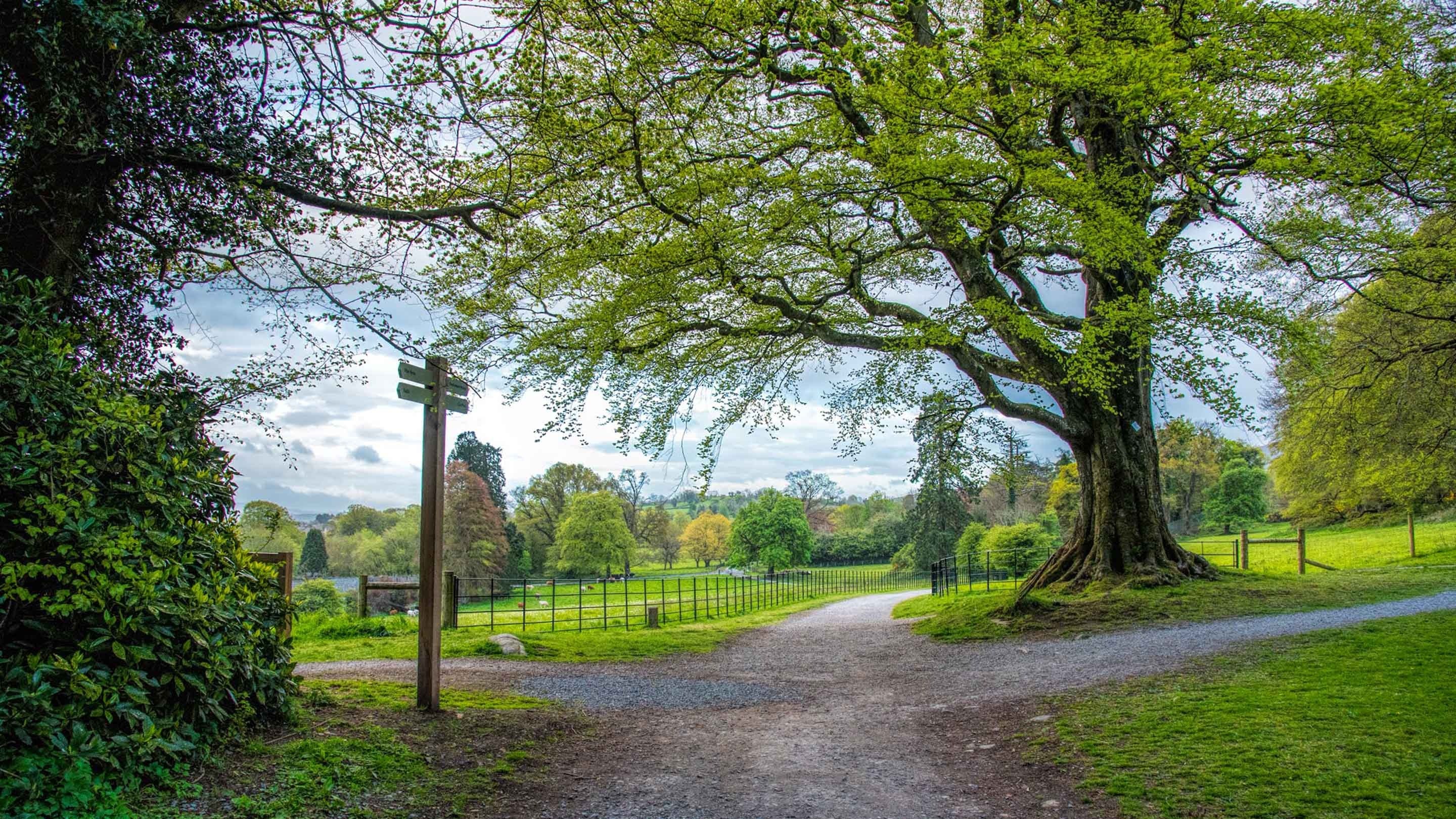 Estate grounds, Derrymore House, County Armagh, Northern Ireland