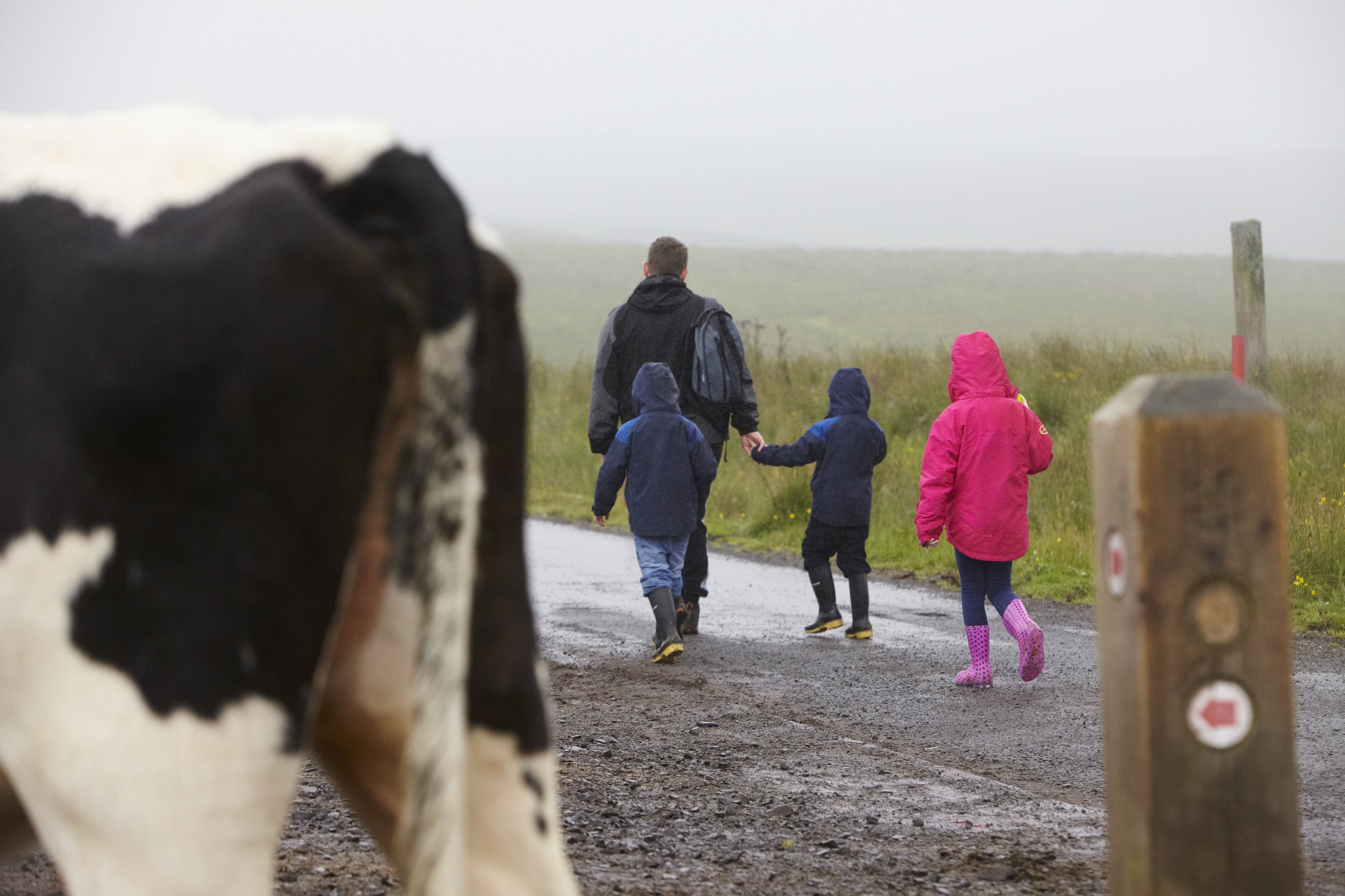 Family on a walk at Divis and the Black Mountain County Antrim