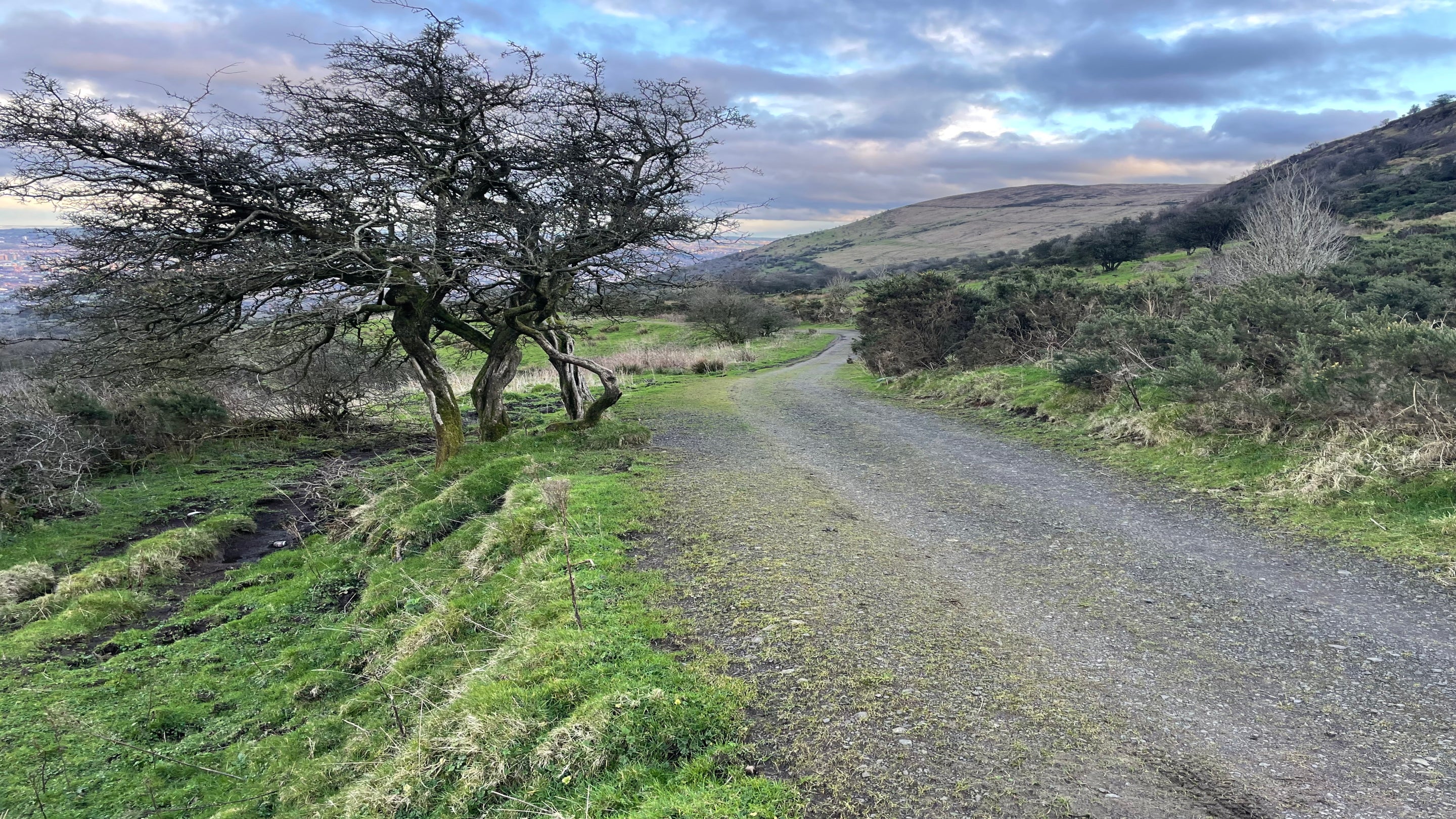 Current unused concrete path