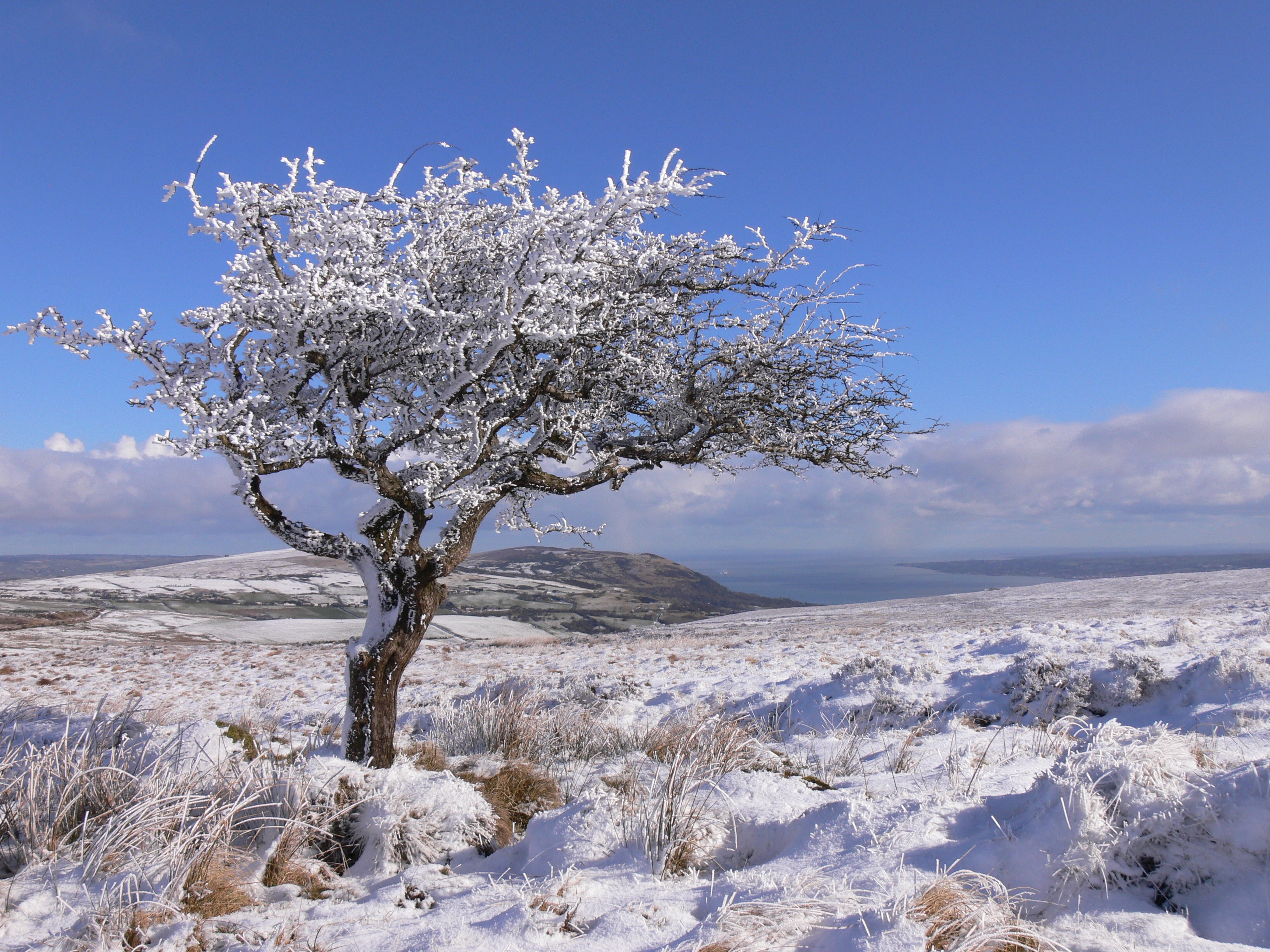Divis Mountain in snow