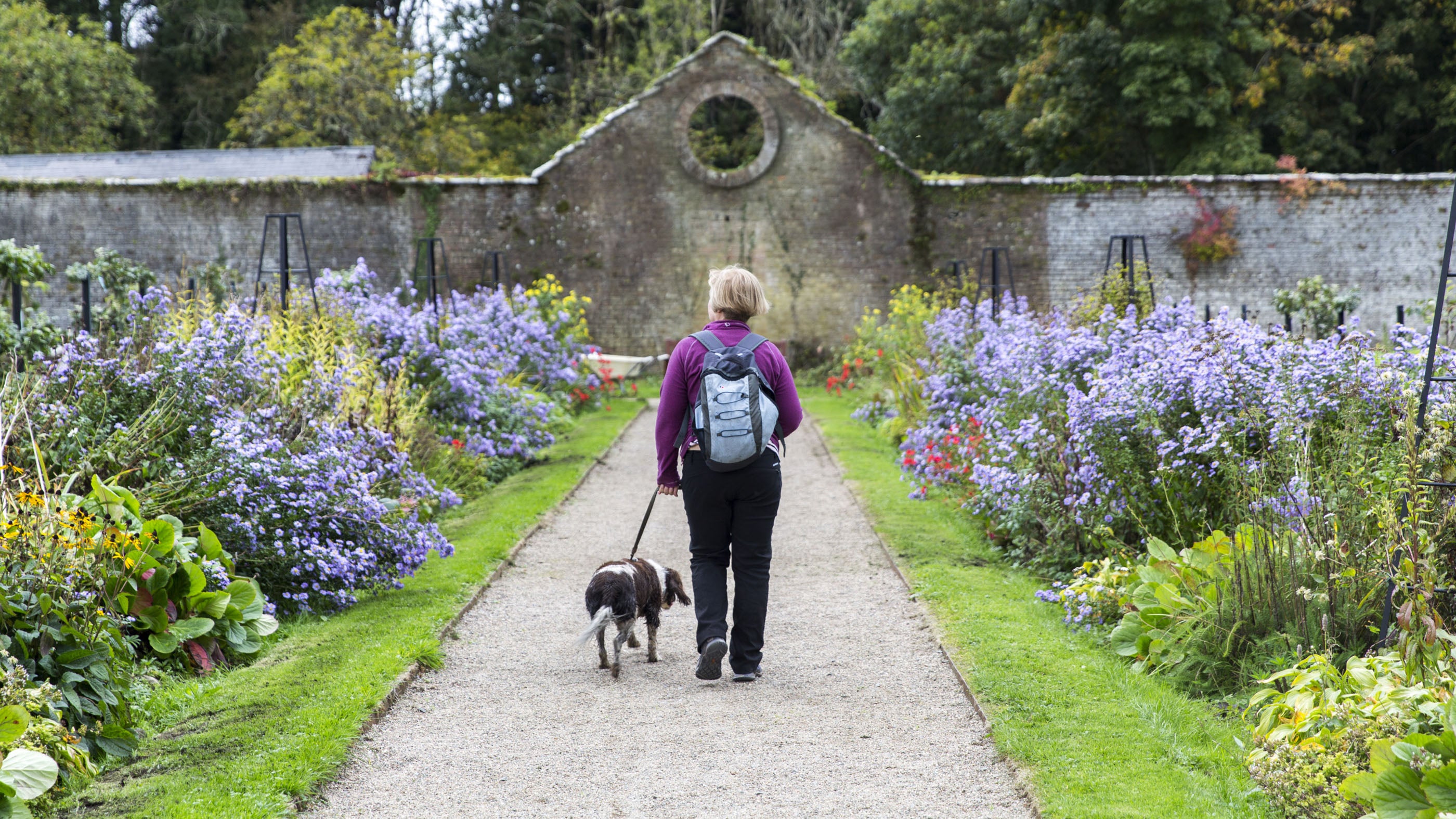 Dog walking in the grounds at Florence Court, County Fermanagh, Northern Ireland.