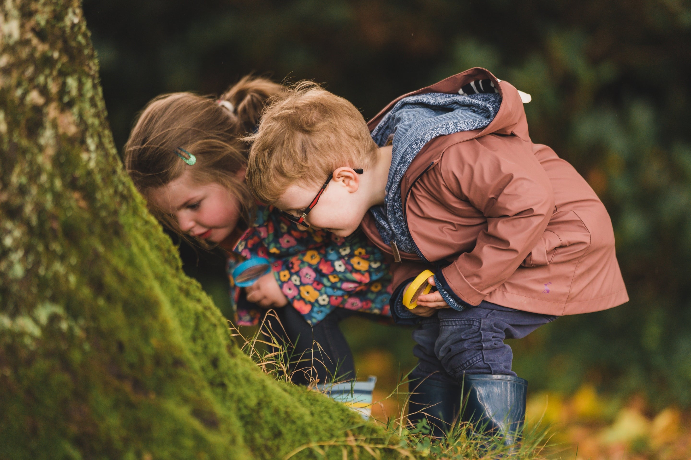 Go on a bug hunt at Florence Court