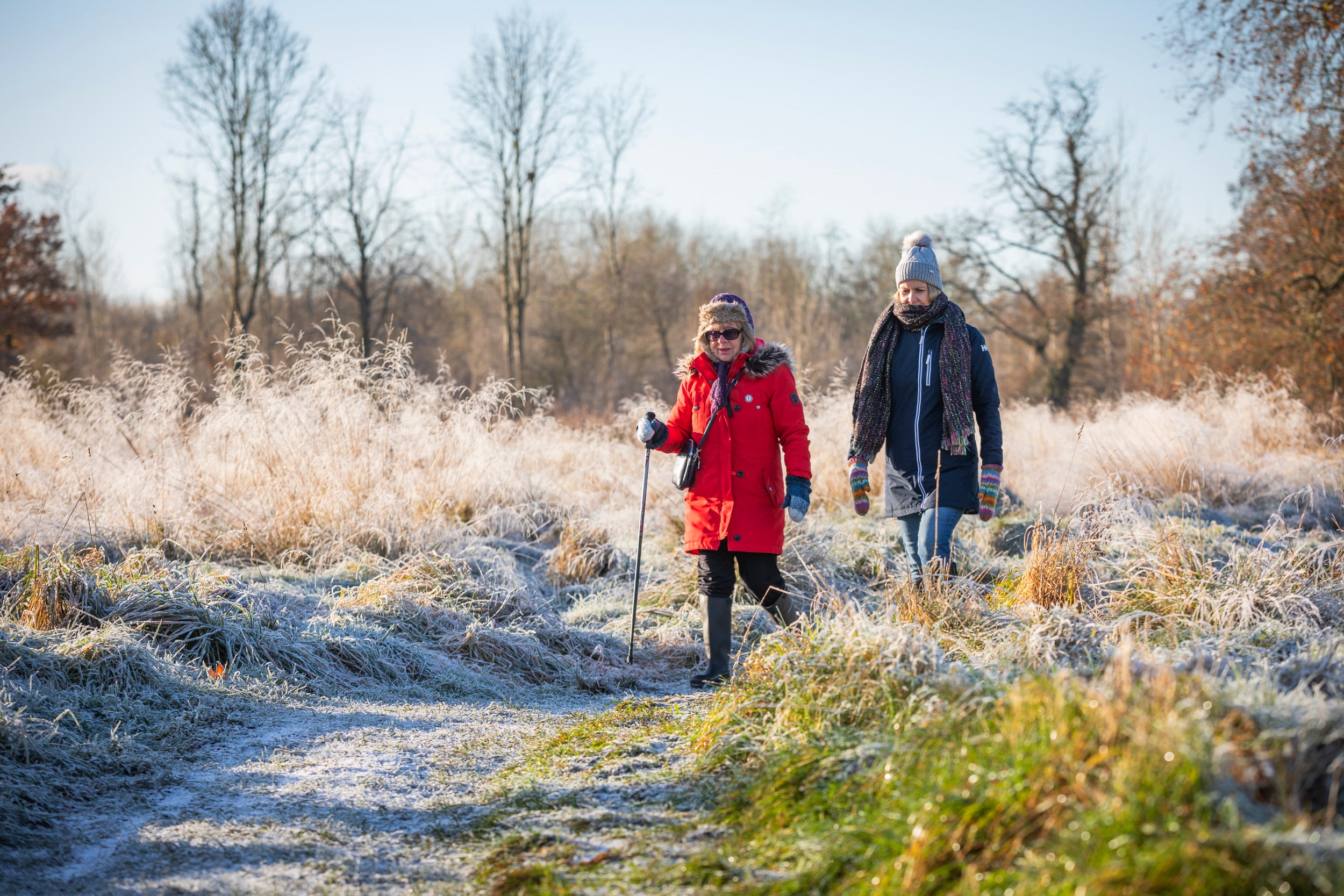 Enjoying a Winter Walk at National Trust