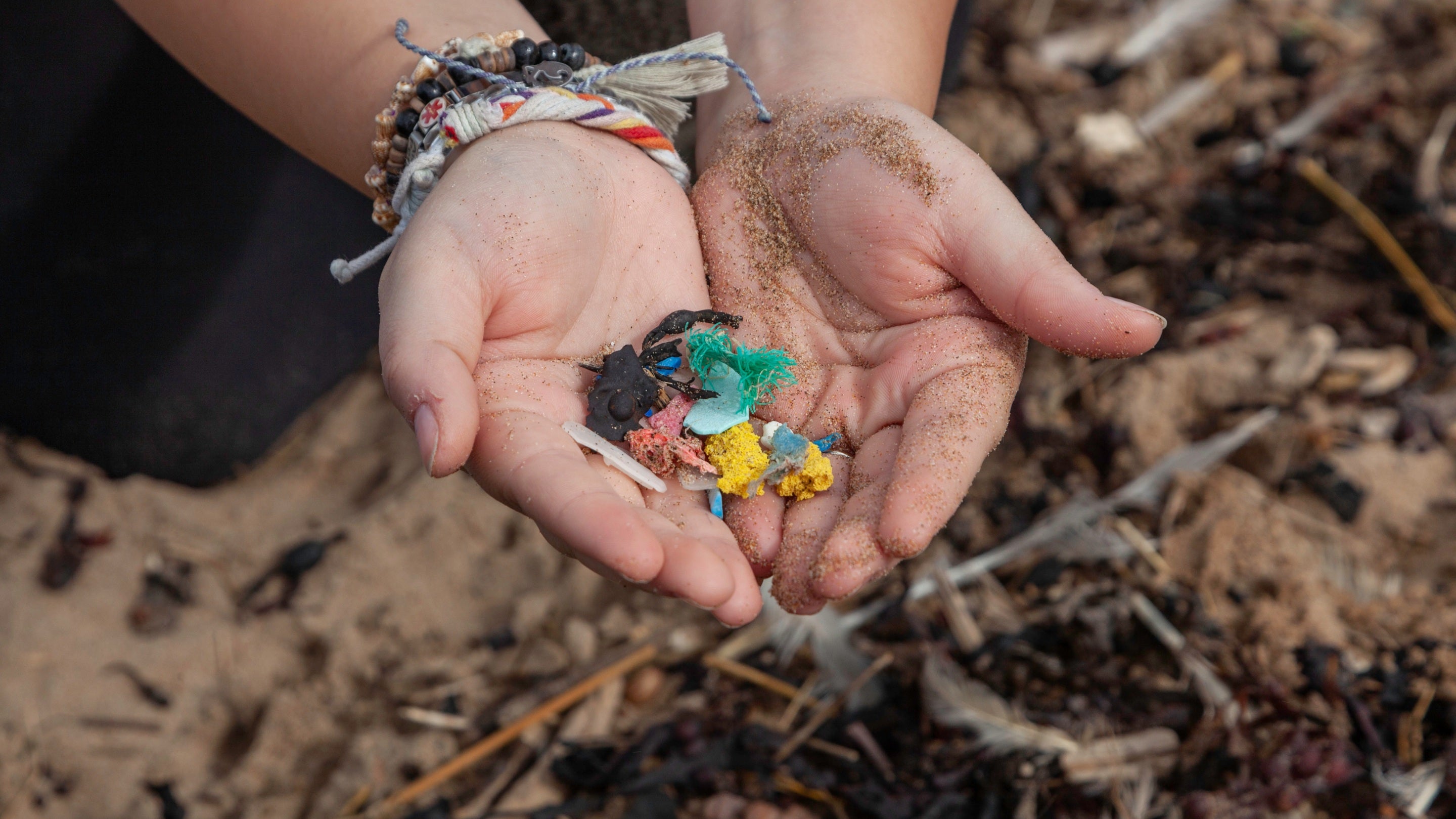 Volunteer holding small fragments of plastic found during The Big Beach Clean at Woolacombe, North Devon