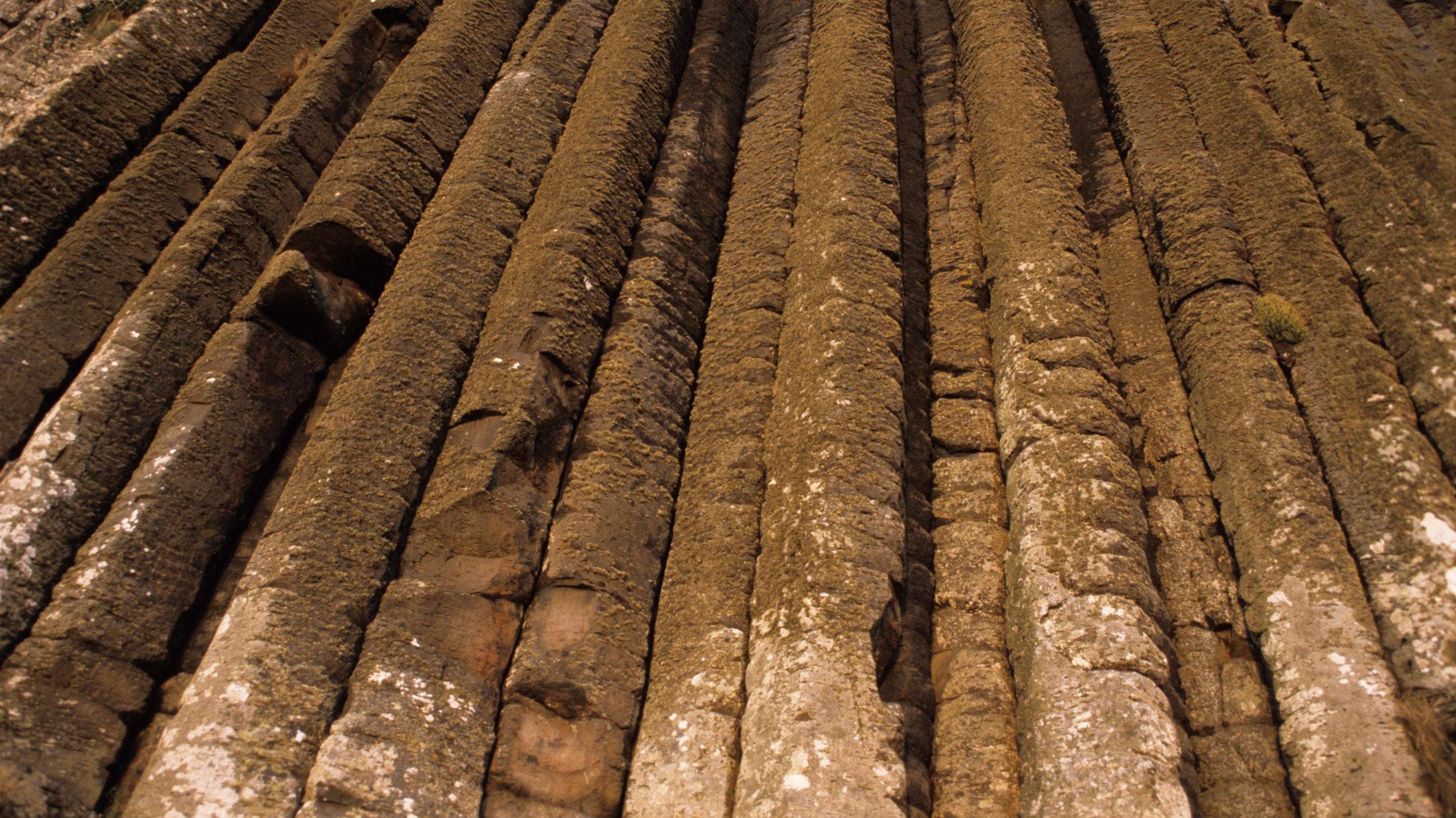 View of Giant's Organ, long trunk-shaped rocks in Giant's Causeway, County Antrim, Northern Ireland