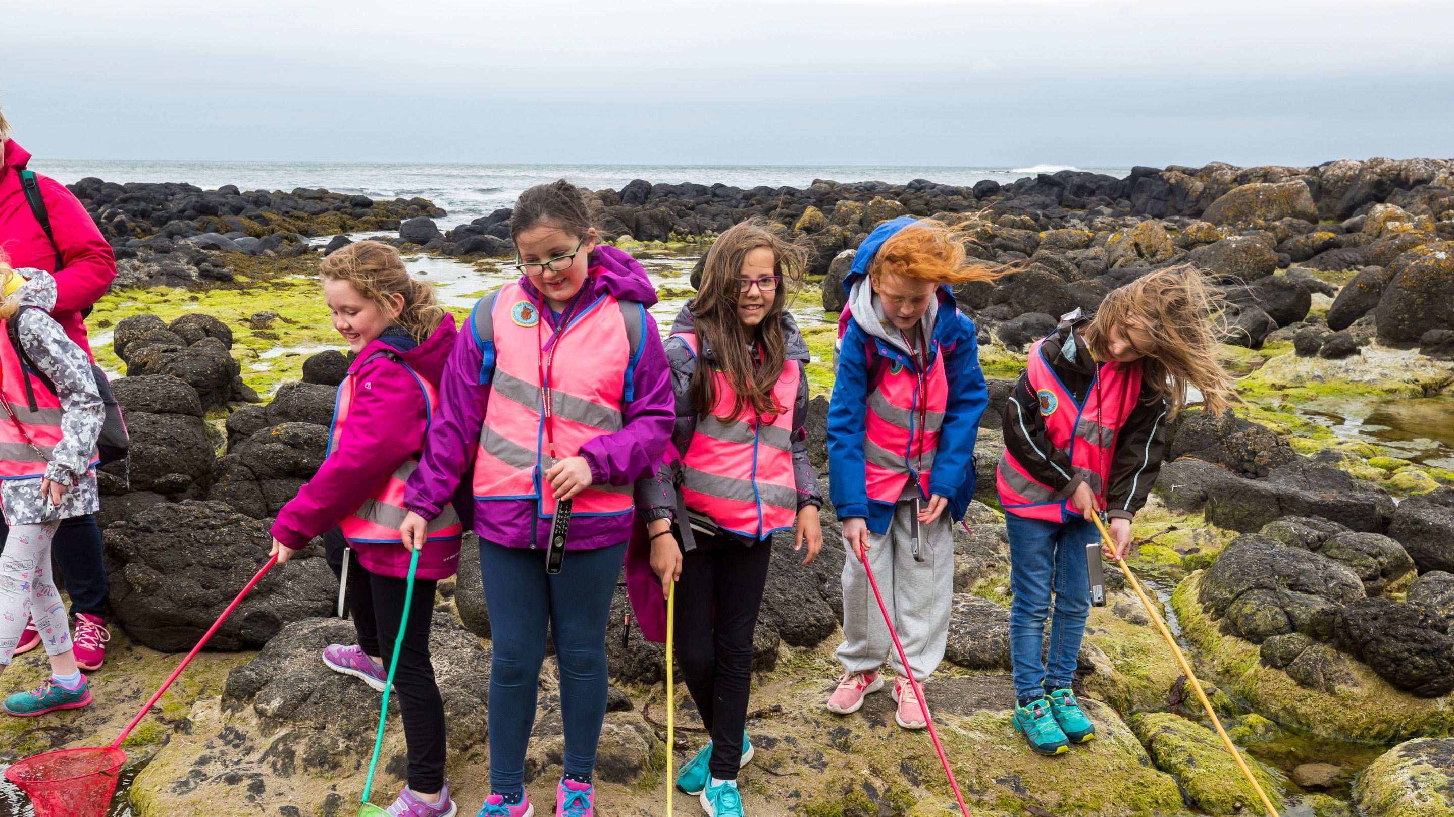 Group of children rockpooling at the Giant's Causeway in County Antrim