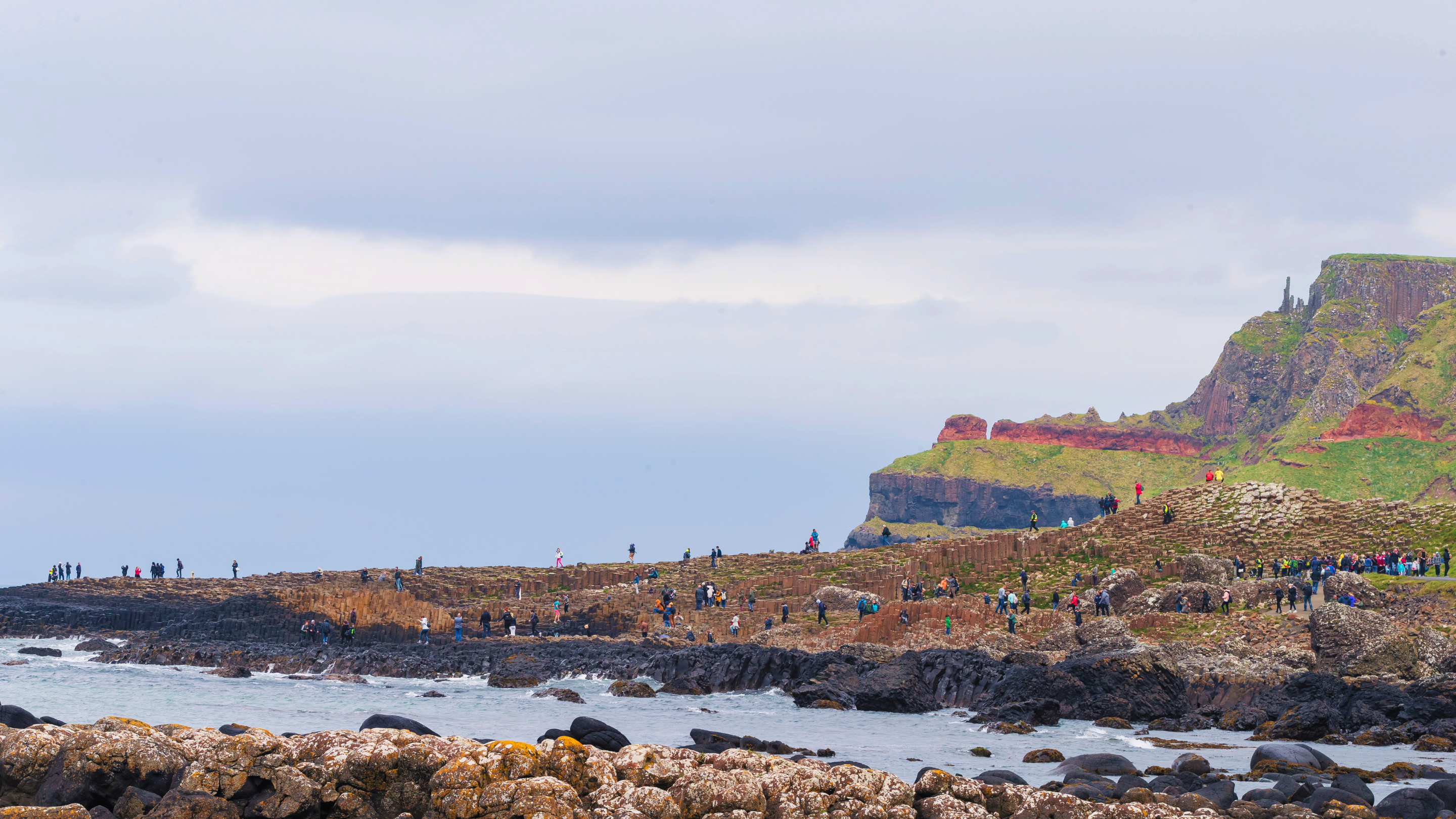 A wide coastal view of the Giant's Causeway, with people walking along the hexagonal basalt columns, with rugged cliffs under an overcast sky