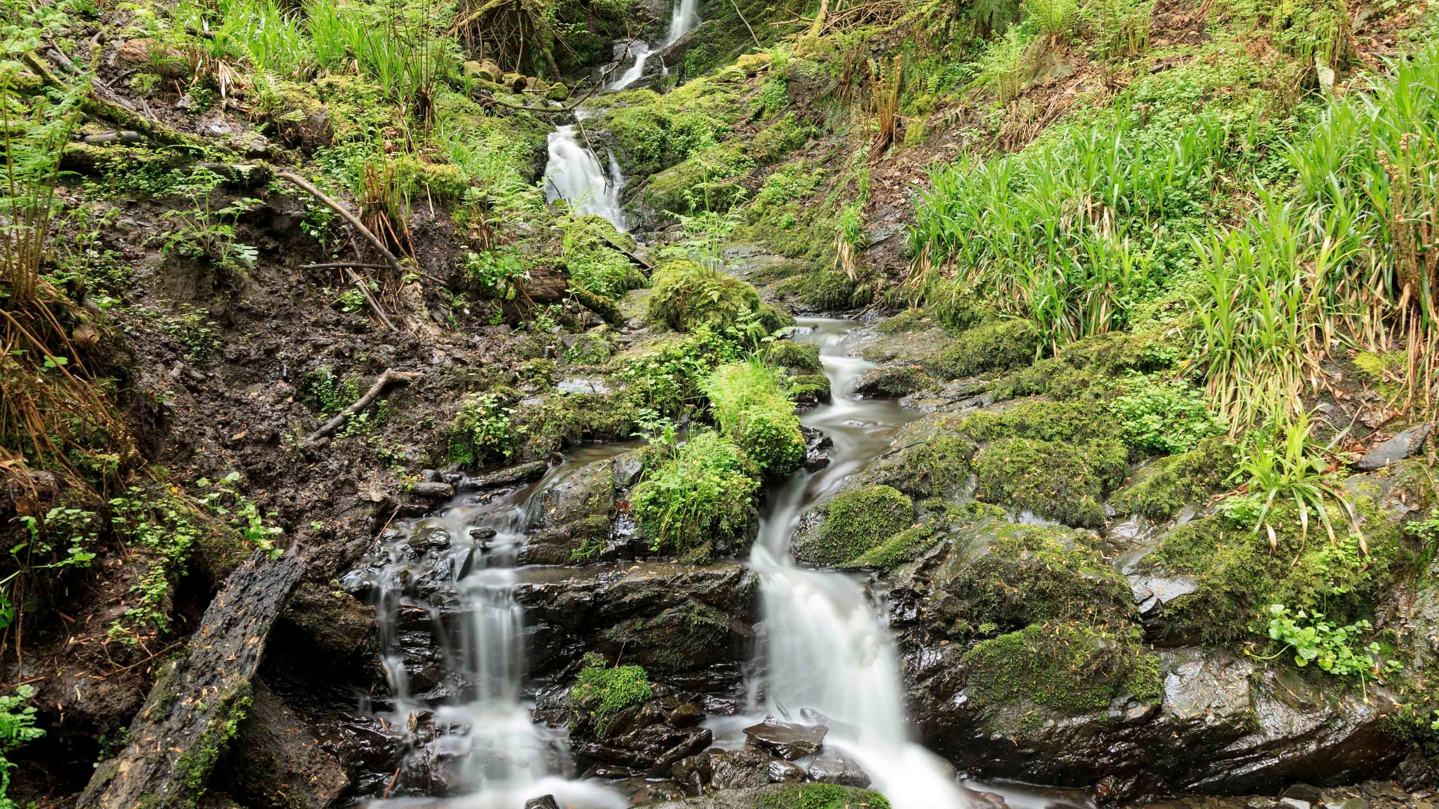 A long-exposure shot of a waterfall tumbling down over moss-covered rocks amidst woodland at Cregagh Glen and Lisnabreeny, County Down.