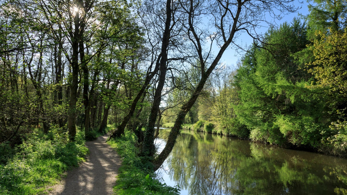 A tranquil view of the River Lagan in Lisburn, with a flat walking path alongside the water, surrounded by lush green trees and reflections on the calm surface.