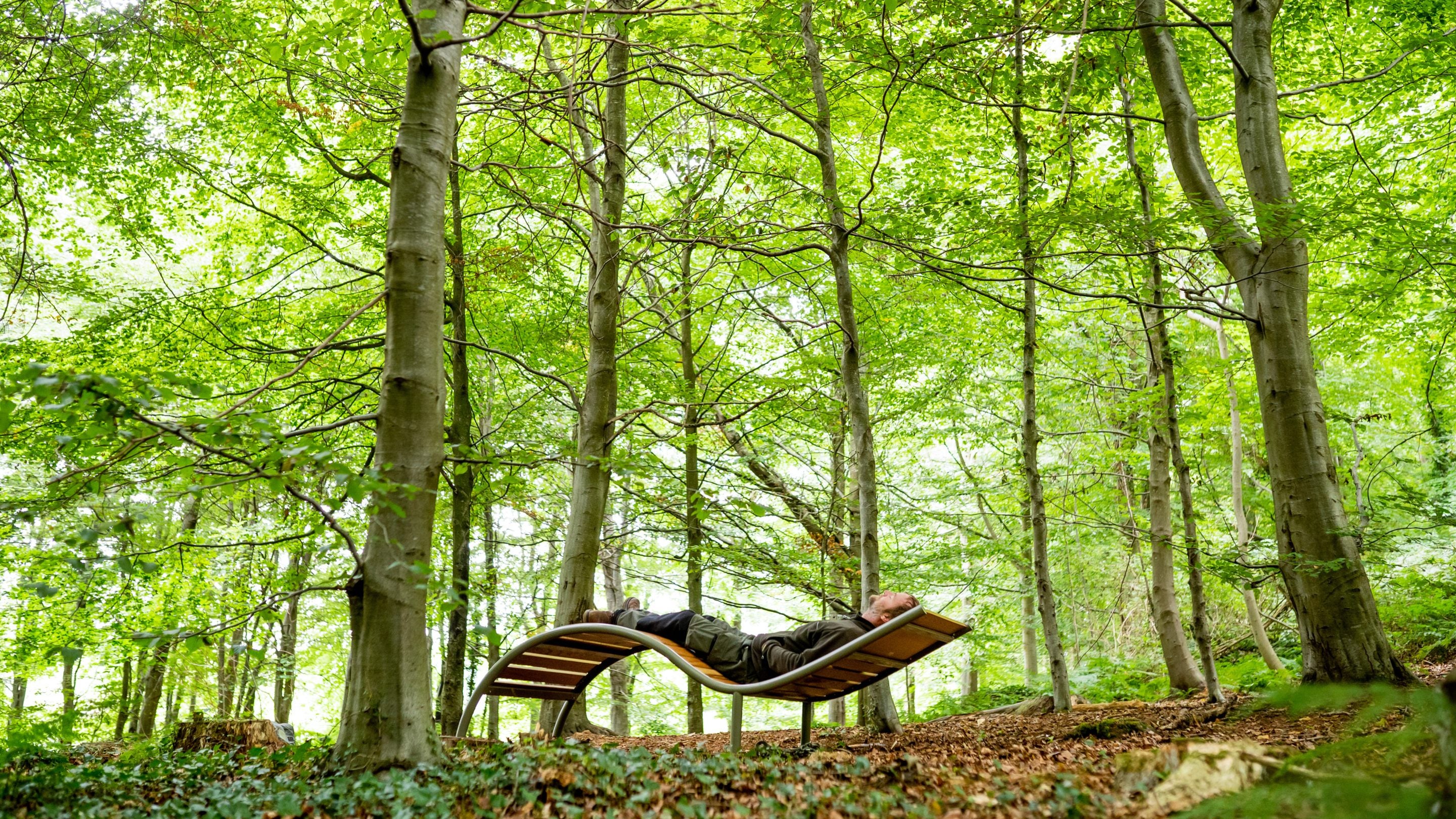 Cloudwatching at Minnowburn, Northern Ireland