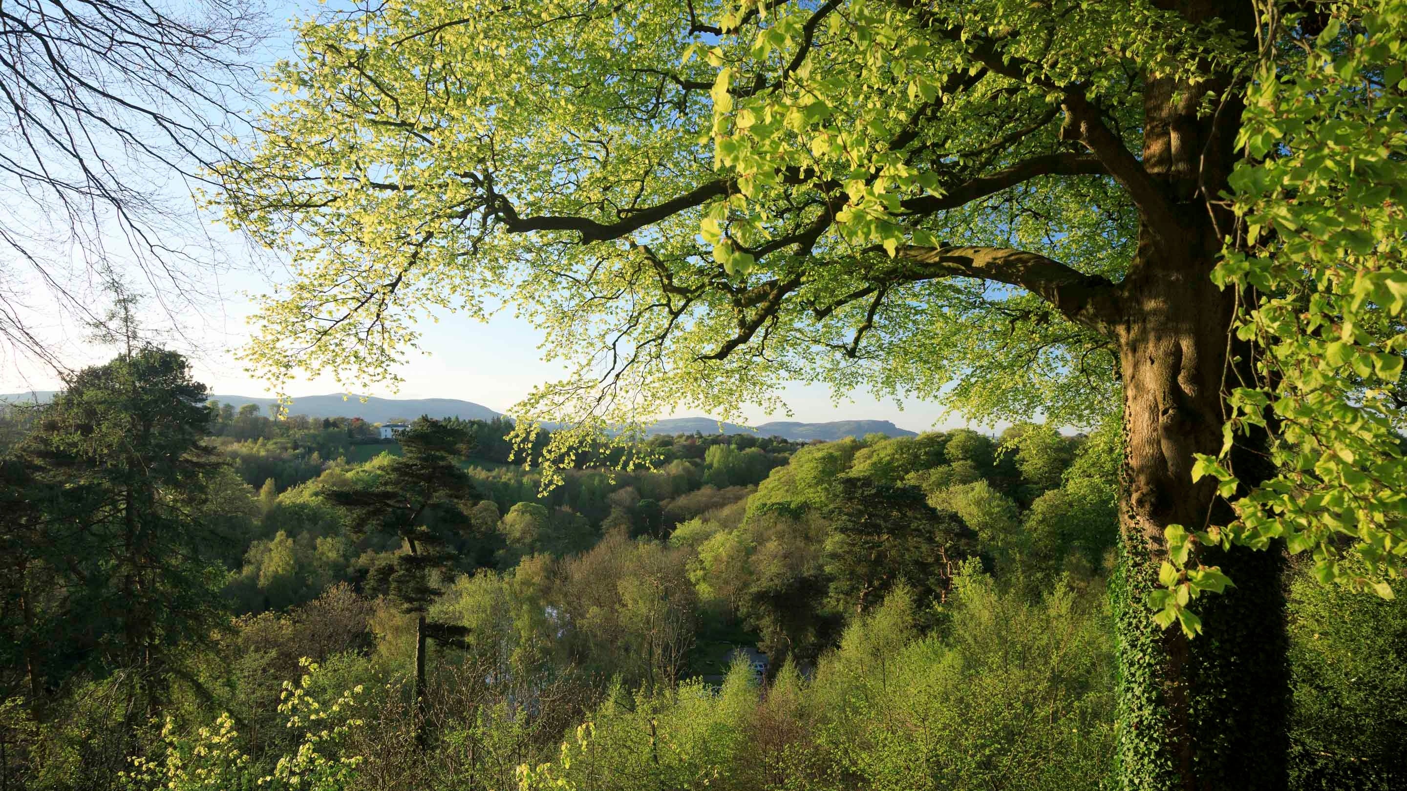 View from the garden at Terrace Hill at Minnowburn, County Down, Northern Ireland