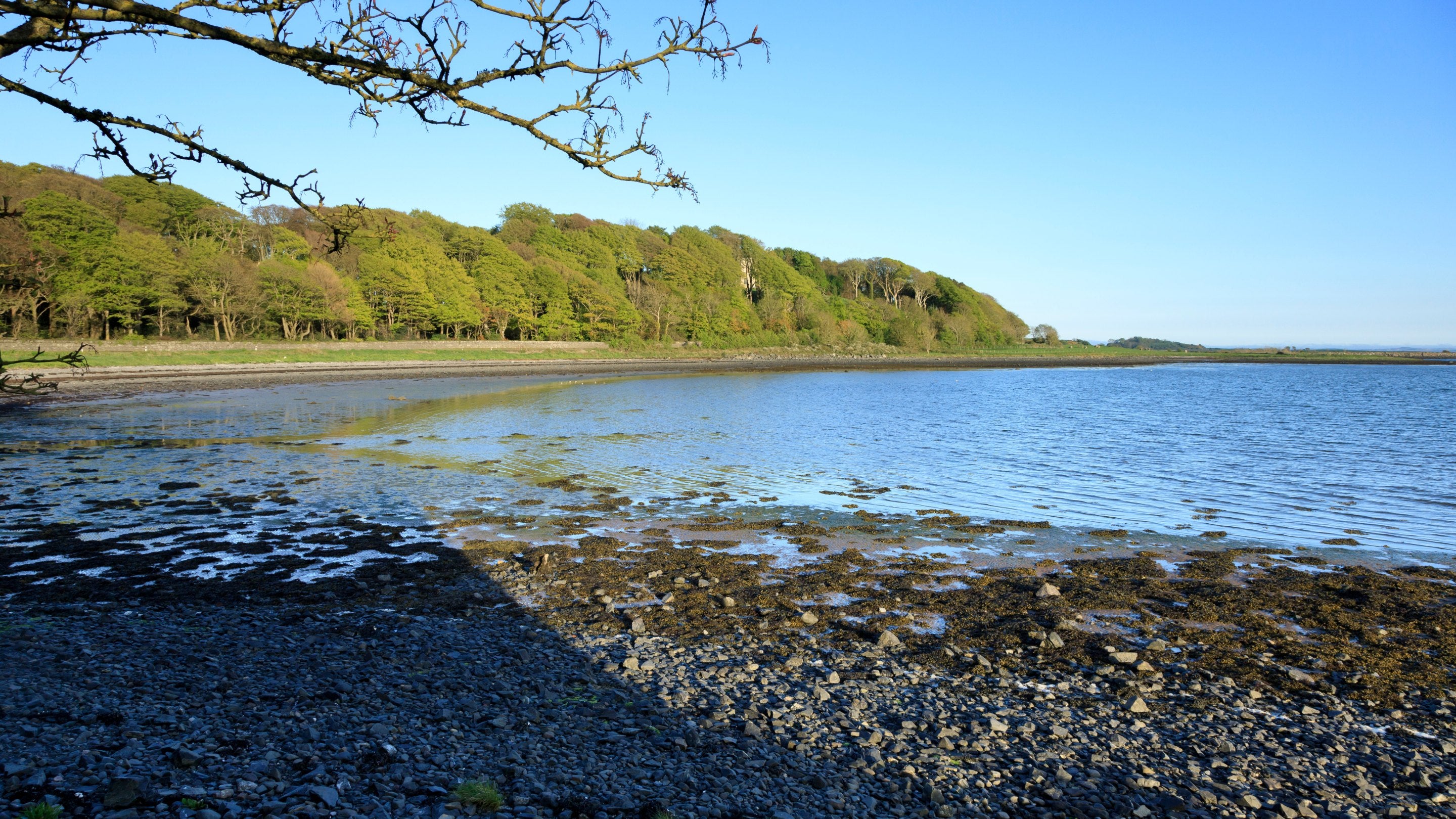Strangford Lough │ Northern Ireland | National Trust