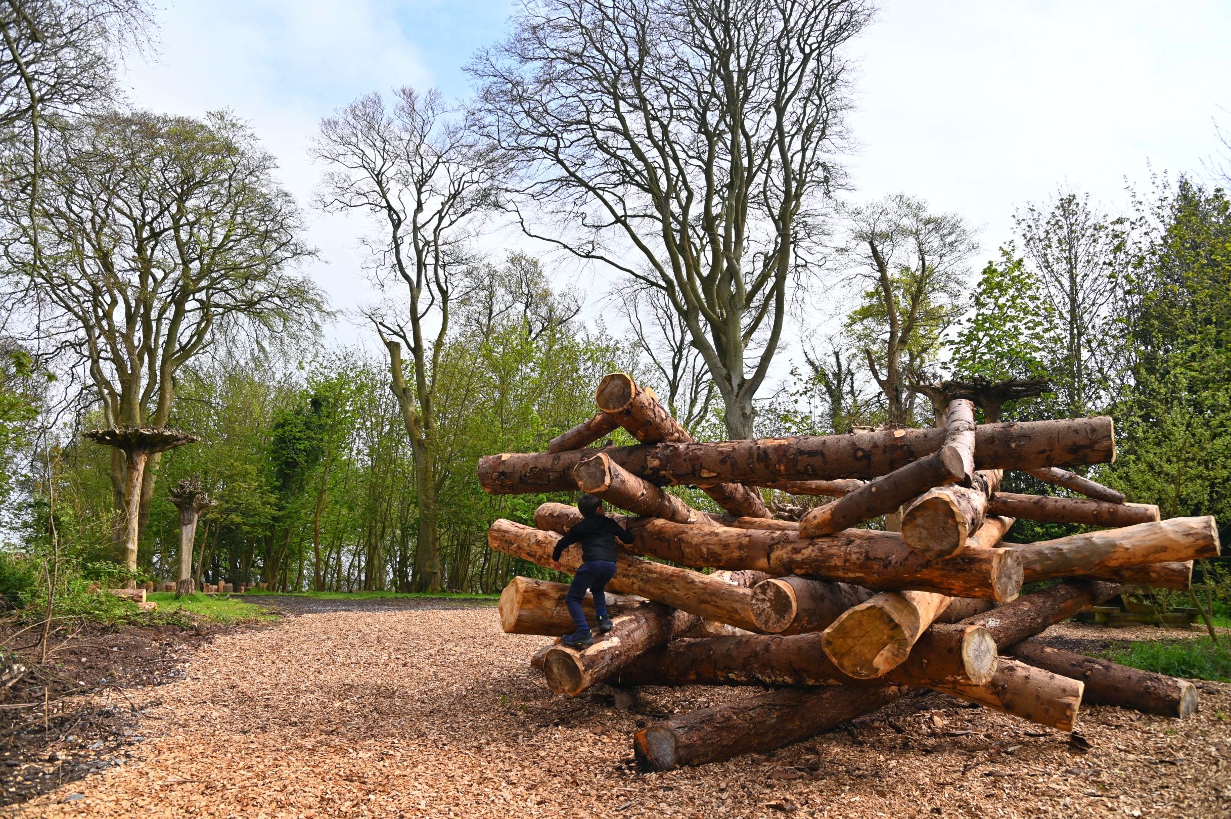 Children playing in Natural Play