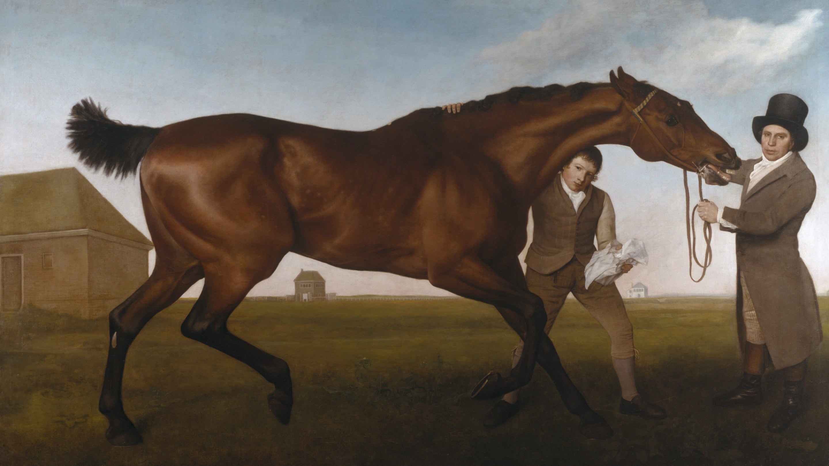 A painting of the racehorse Hambletonian by George Stubbs (1724–1806), at Mount Stewart House, County Down, Northern Ireland. One man in a top hat holds the horse's bridle while another holds a cloth to rub the horse down.