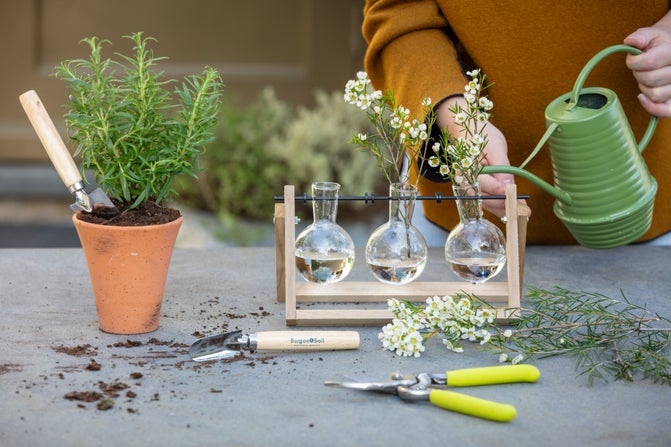 A selection of garden equipment
