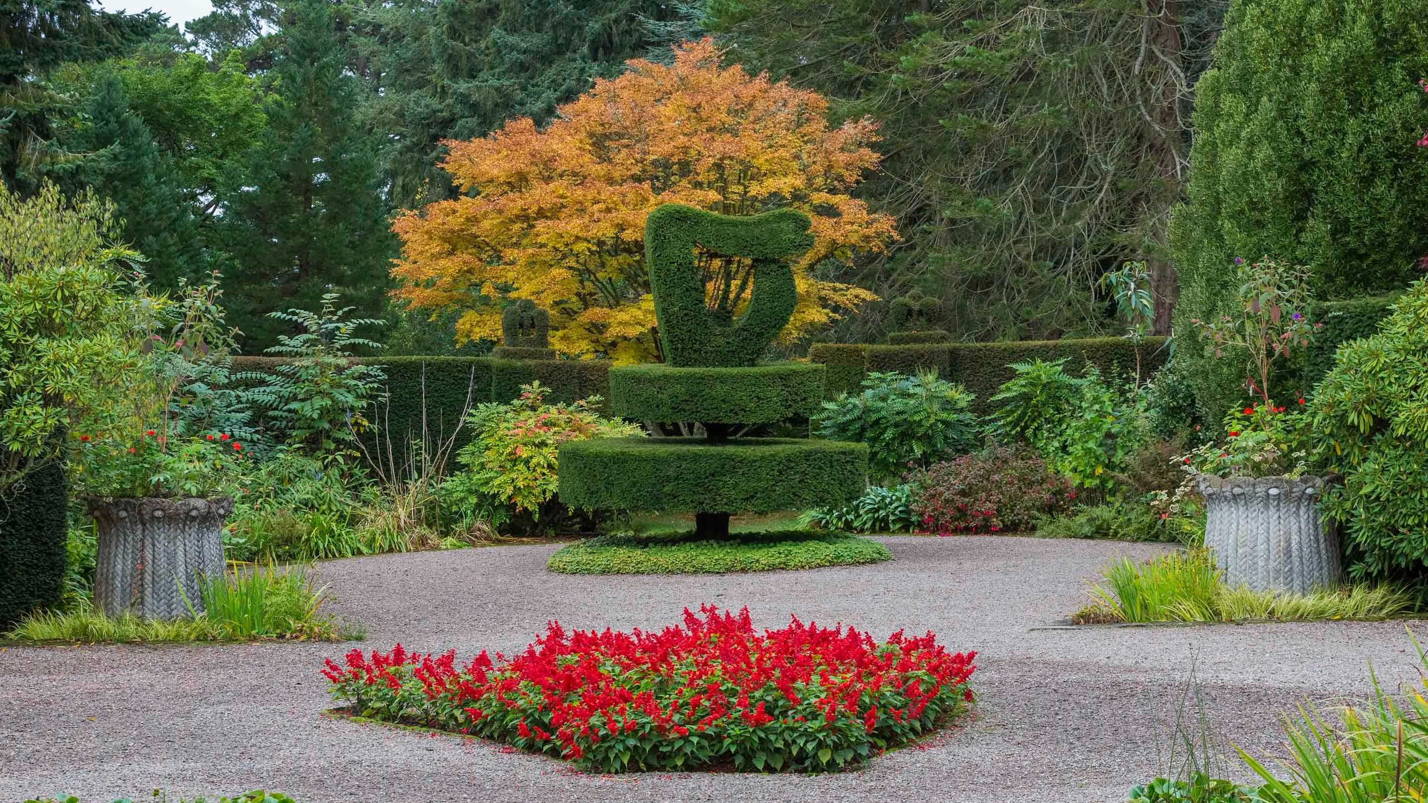 The Shamrock Garden at Mount Stewart, with an Irish harp topiary at the centre of the Shamrock hedge, surrounded by blooming flower beds