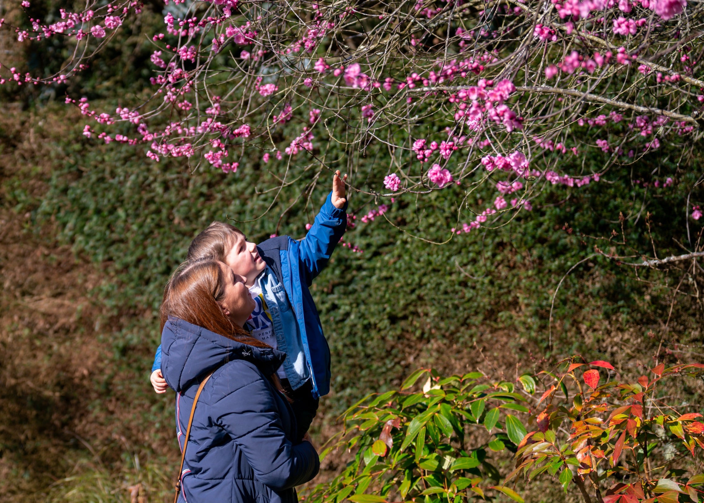 Mother and child looking at blossom in the Shamrock Garden