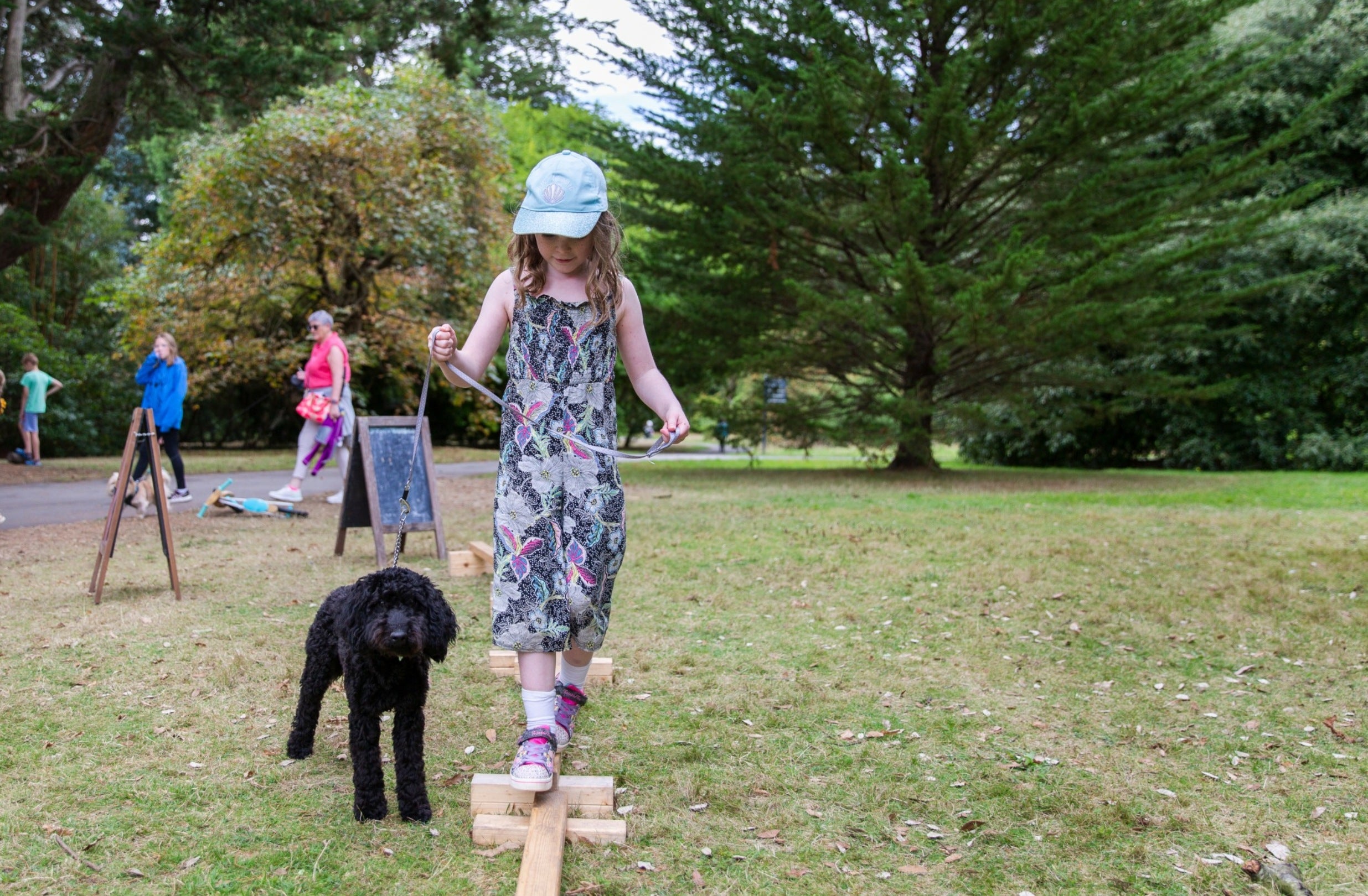 Families exploring summer activities, Mount Stewart