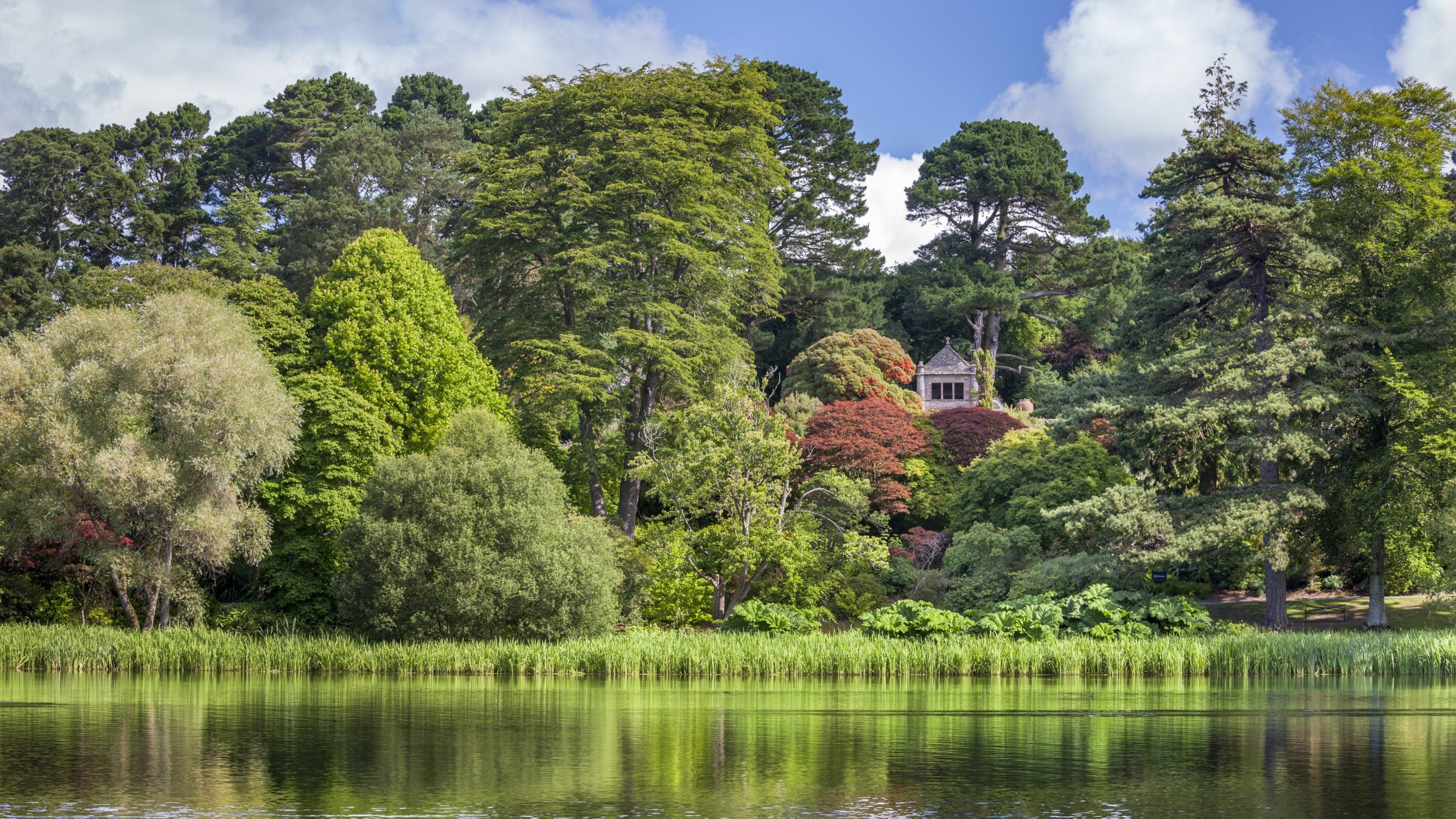 View across the lake at Mount Stewart with green trees on the other side and a glimpse of a turret between the trees